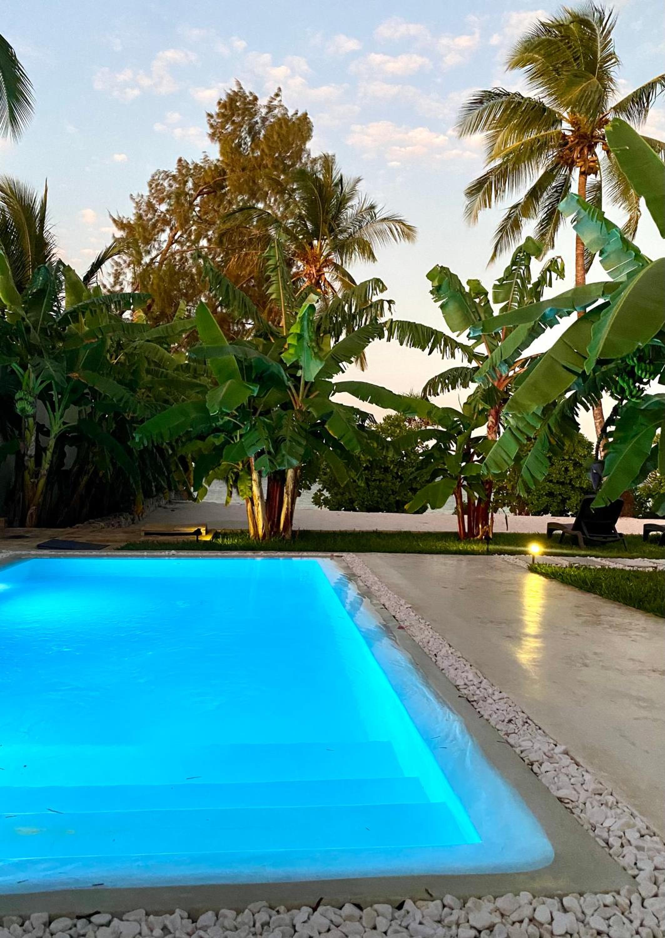 Luxury LIONS VILLAS ZANZIBAR - with Private Cook & Infinity Pools view 2