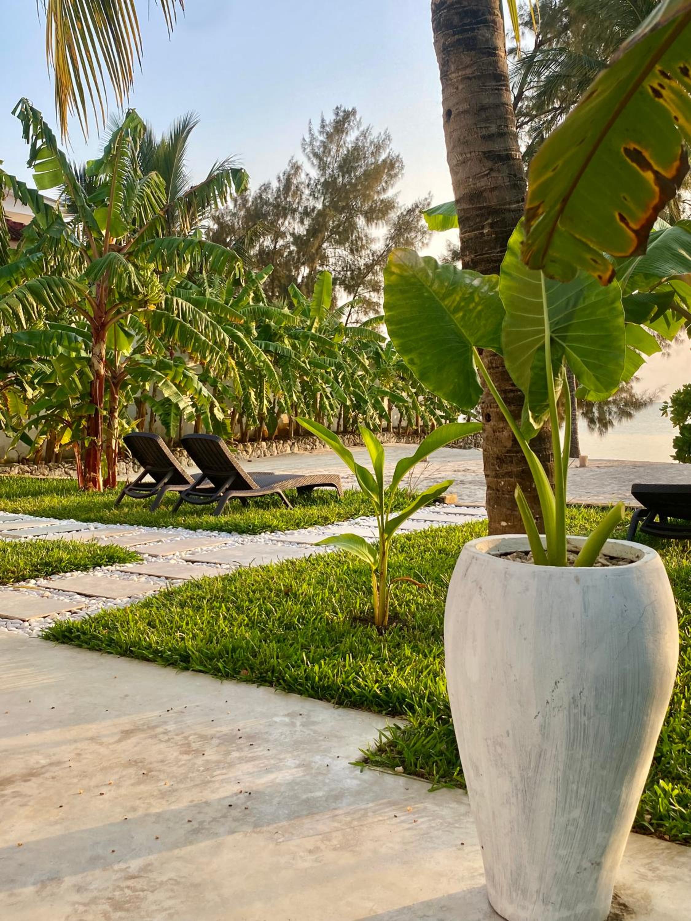 Luxury LIONS VILLAS ZANZIBAR - with Private Cook & Infinity Pools view 4