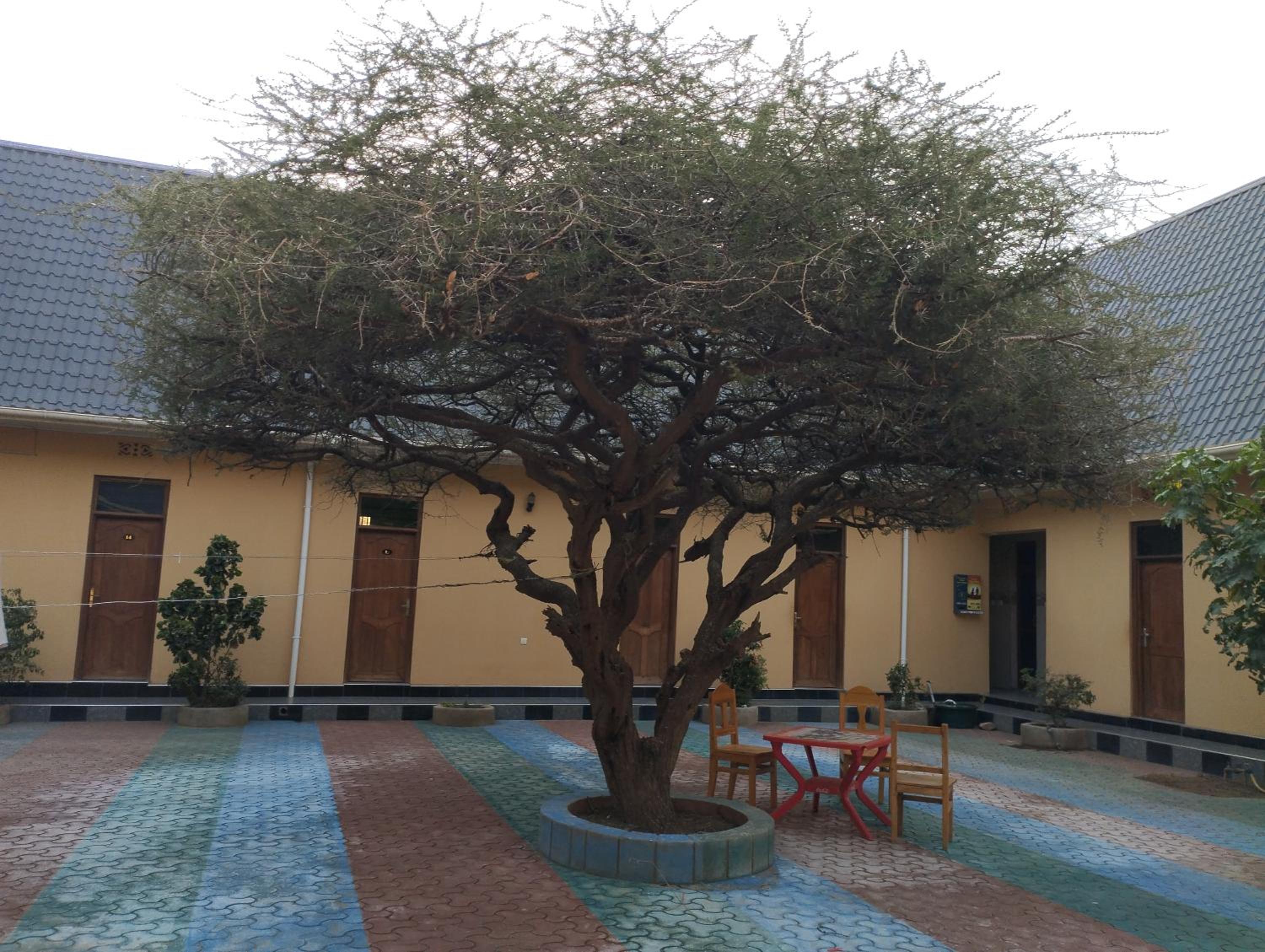 Lake Eyasi Safari motel view 3