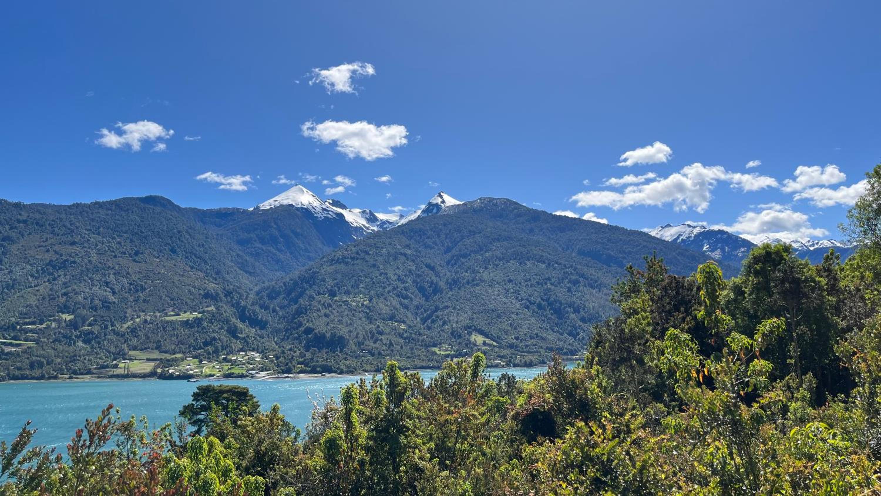 Patagonia Nativa
