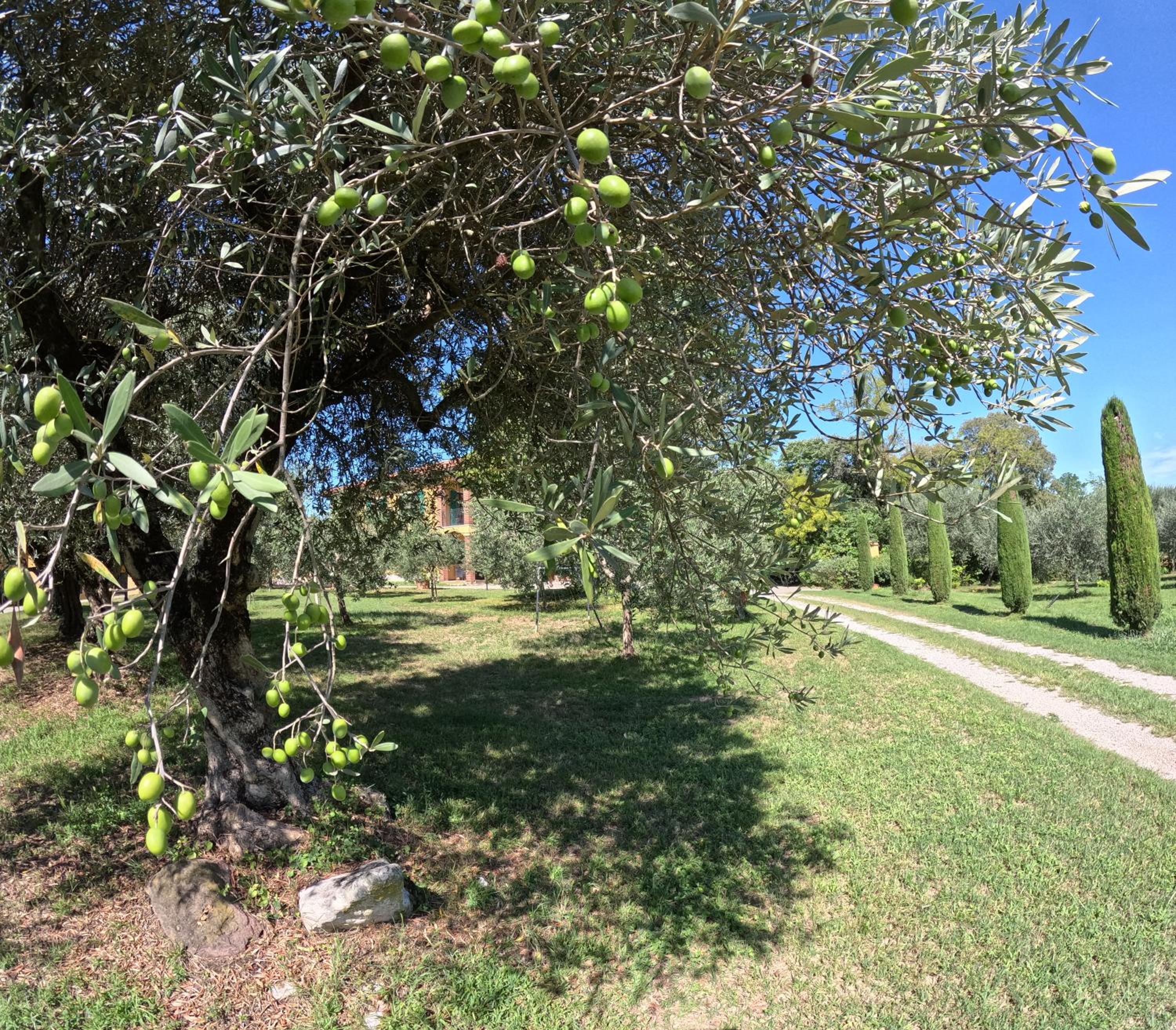 Agriturismo Gardenali
