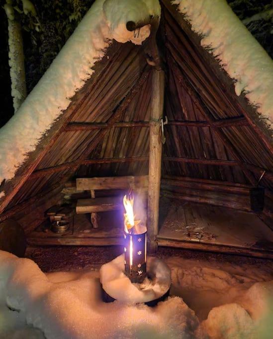 Magical House