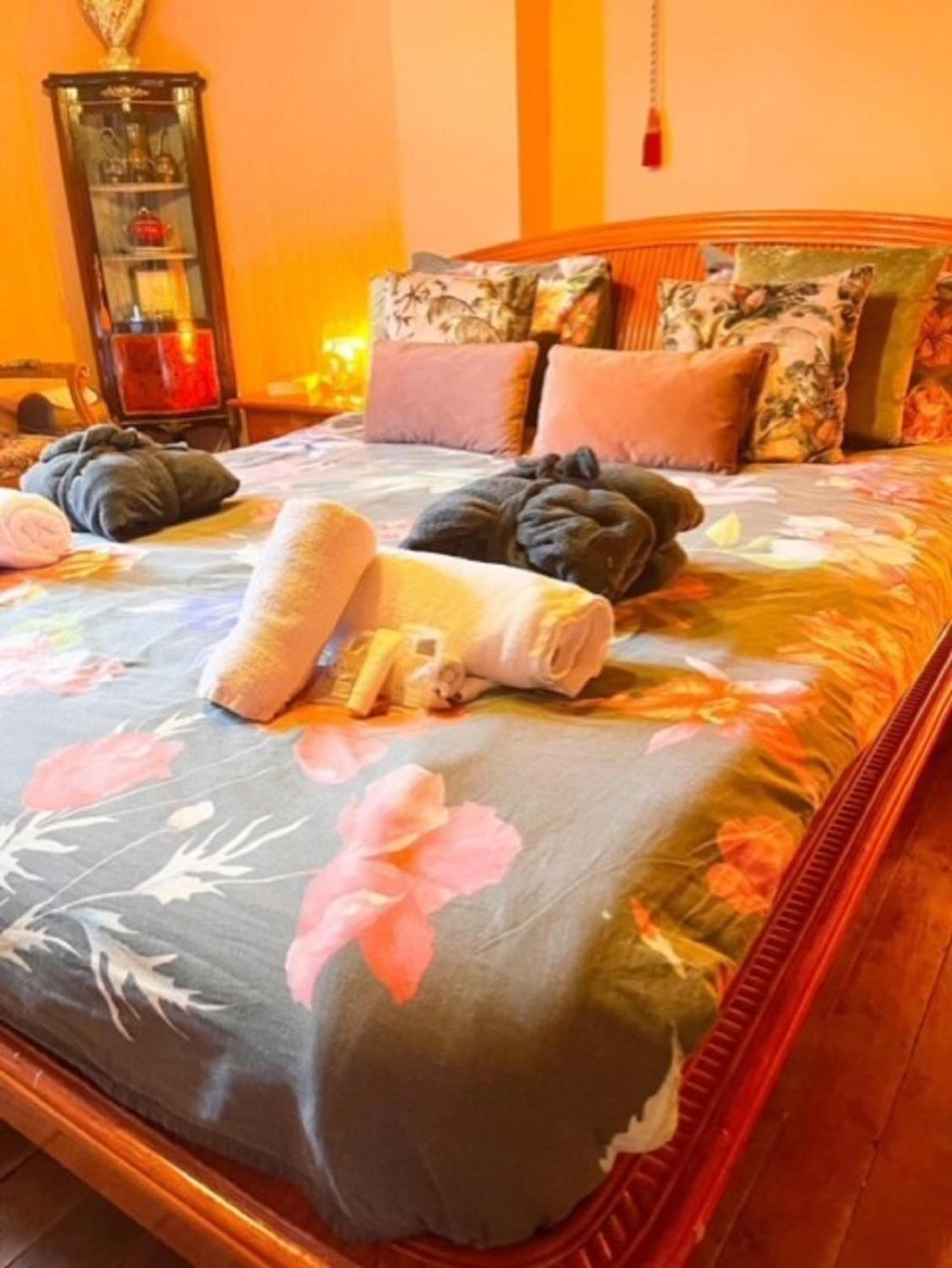 B&B Forêt d'Animaux