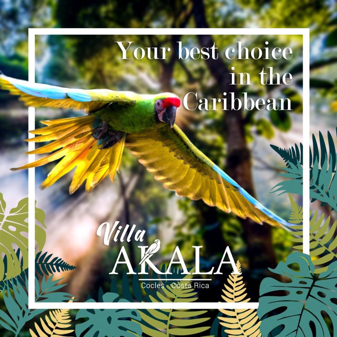 Villa Akala