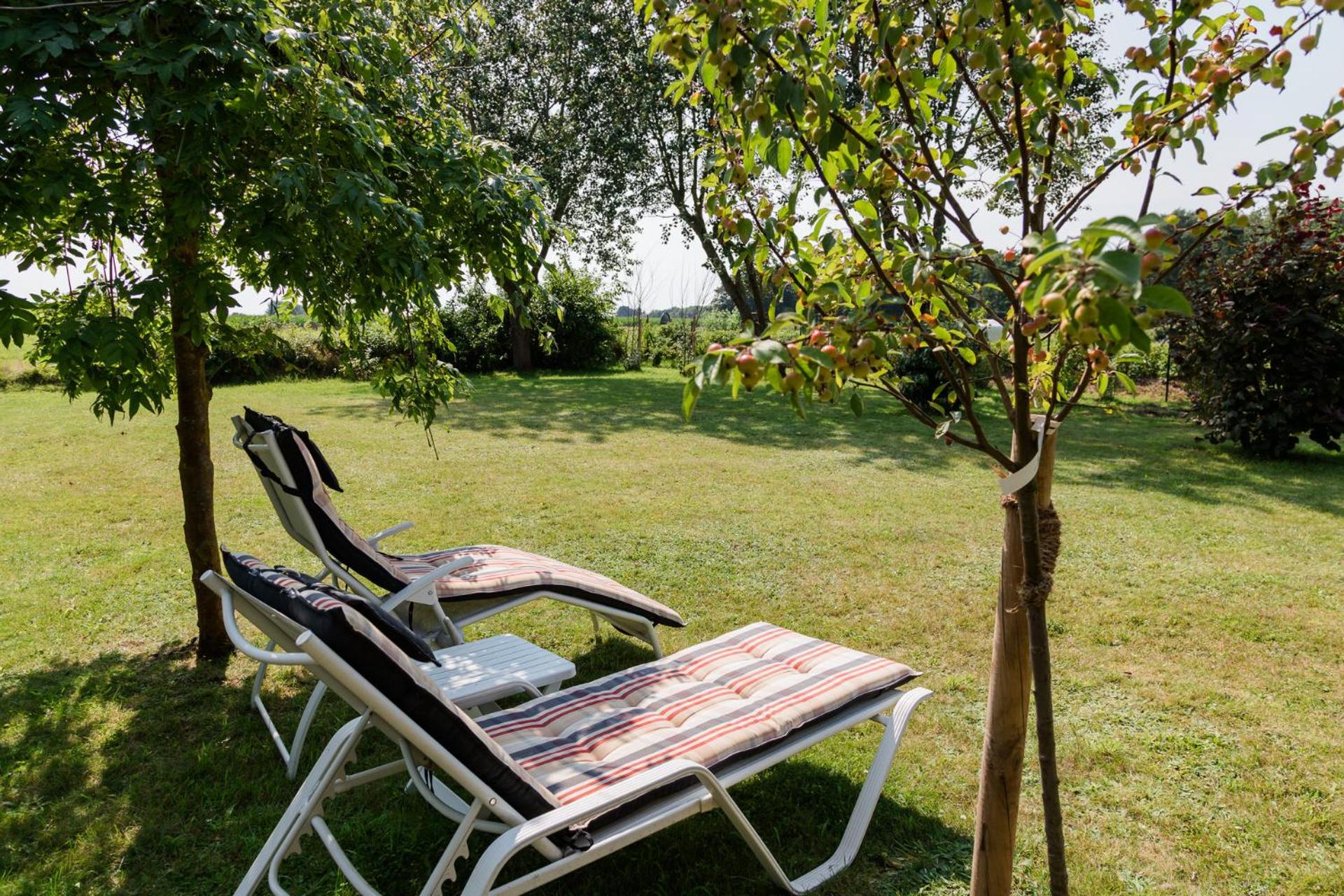 Ferienhaus am Feld
