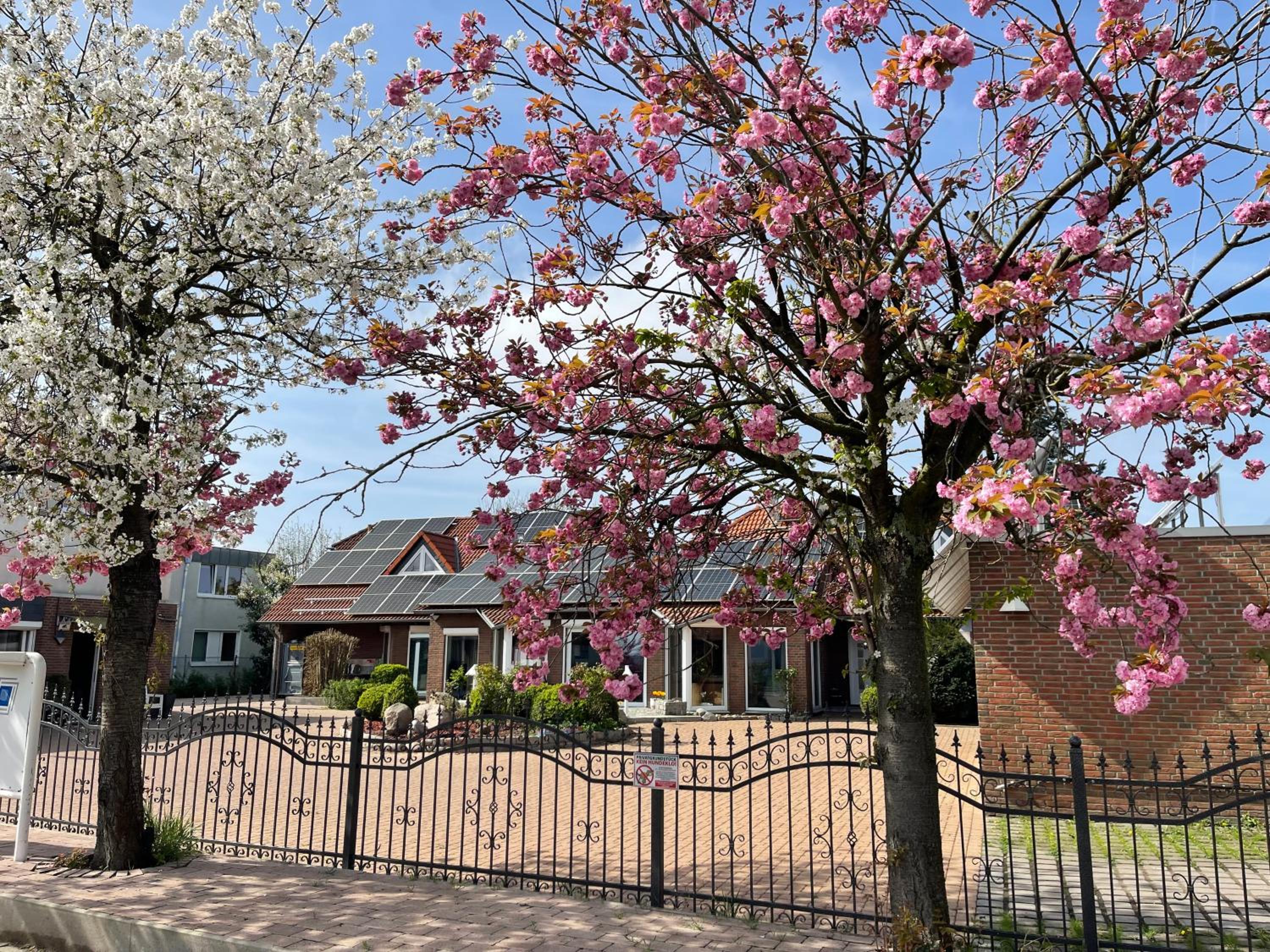 Modern House Gehrden auf 2 Etagen, Nice Garten, Barbecue, Contactless Check-in, free parking