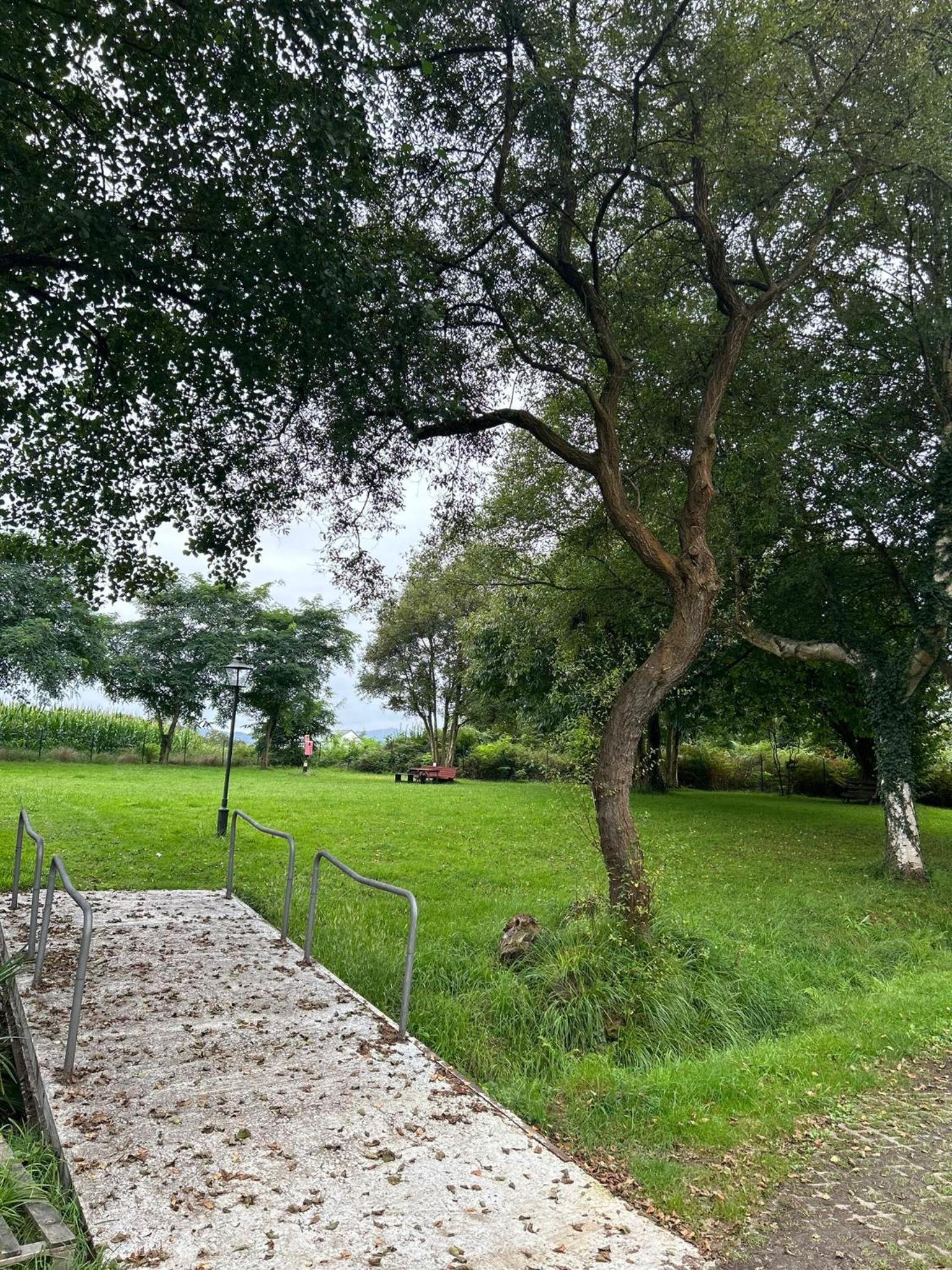 CAMPING A GRANDELLA view 5