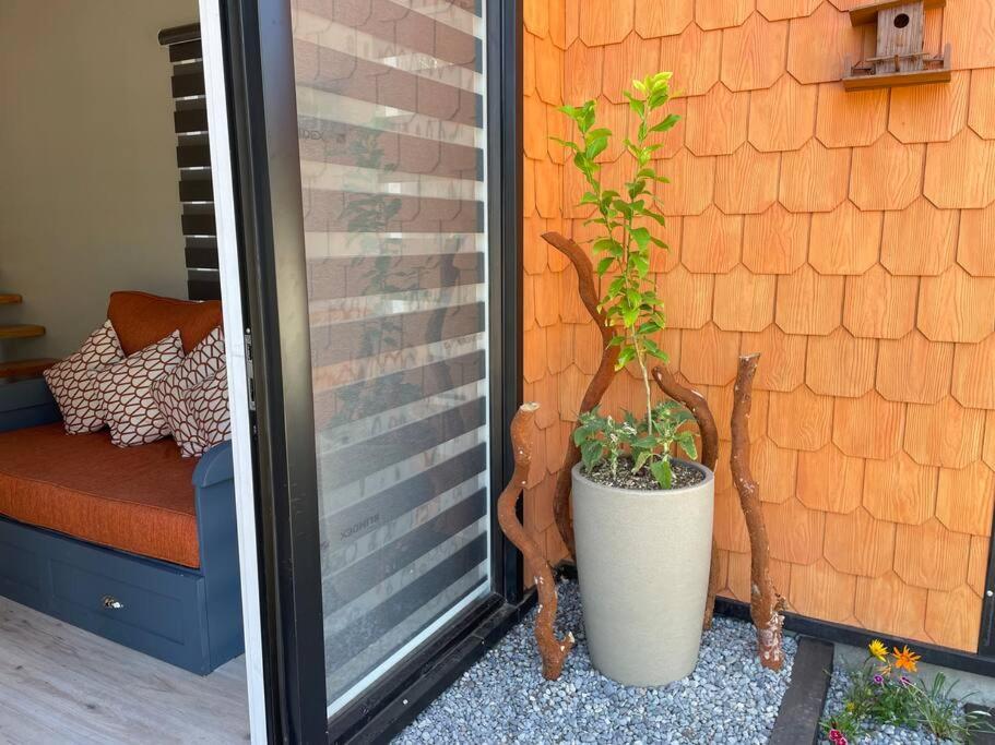 Moderno Loft en entorno natural