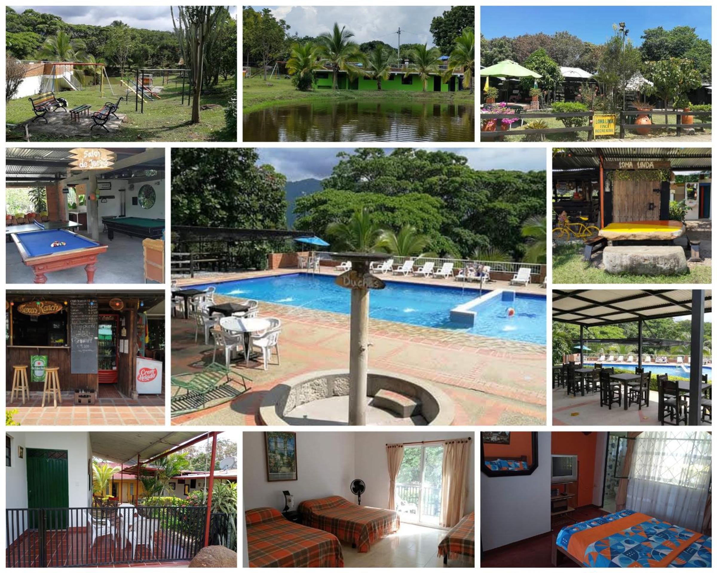 activities & amenities