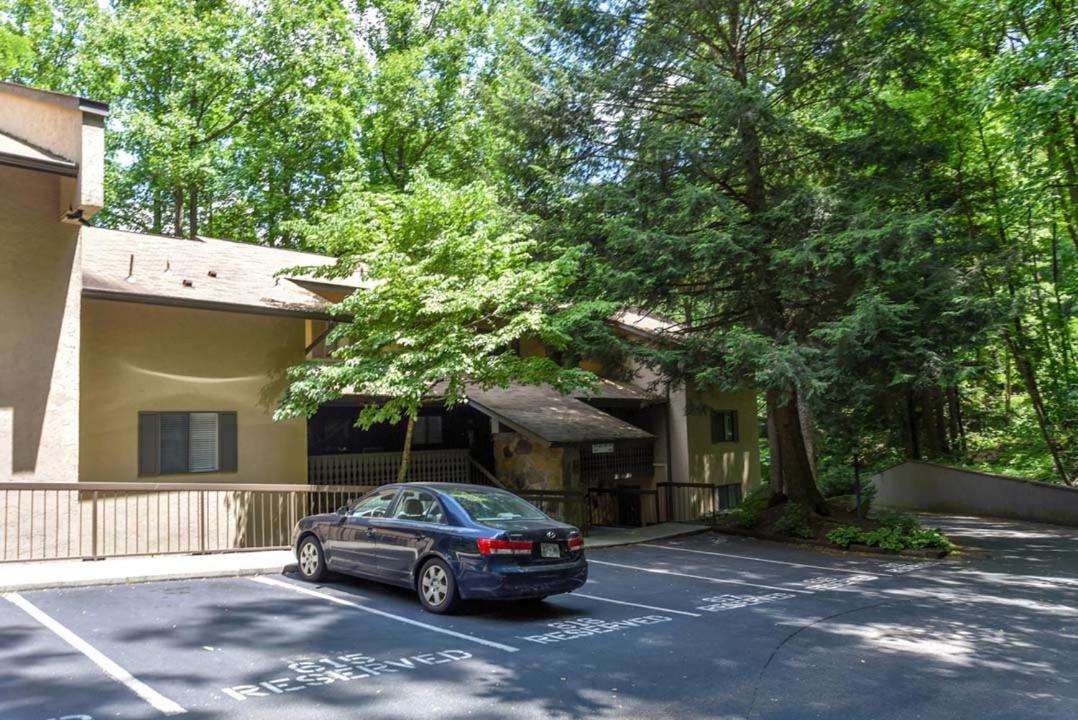 Bearly Ober By Colonial Properties view 3