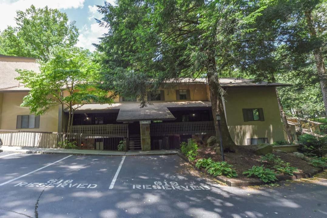 Bearly Ober By Colonial Properties view 4