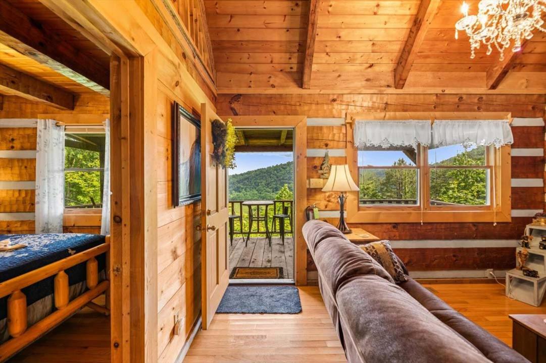 Black Bear's Den view 3