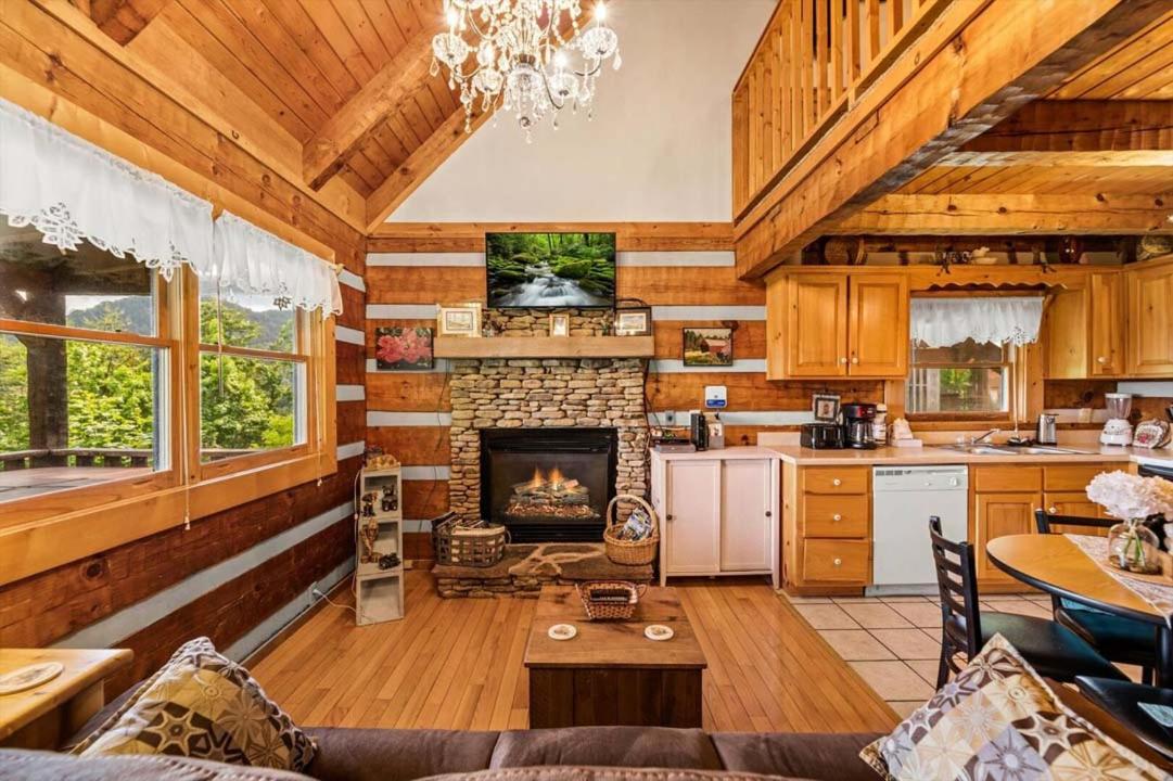 Black Bear's Den view 5