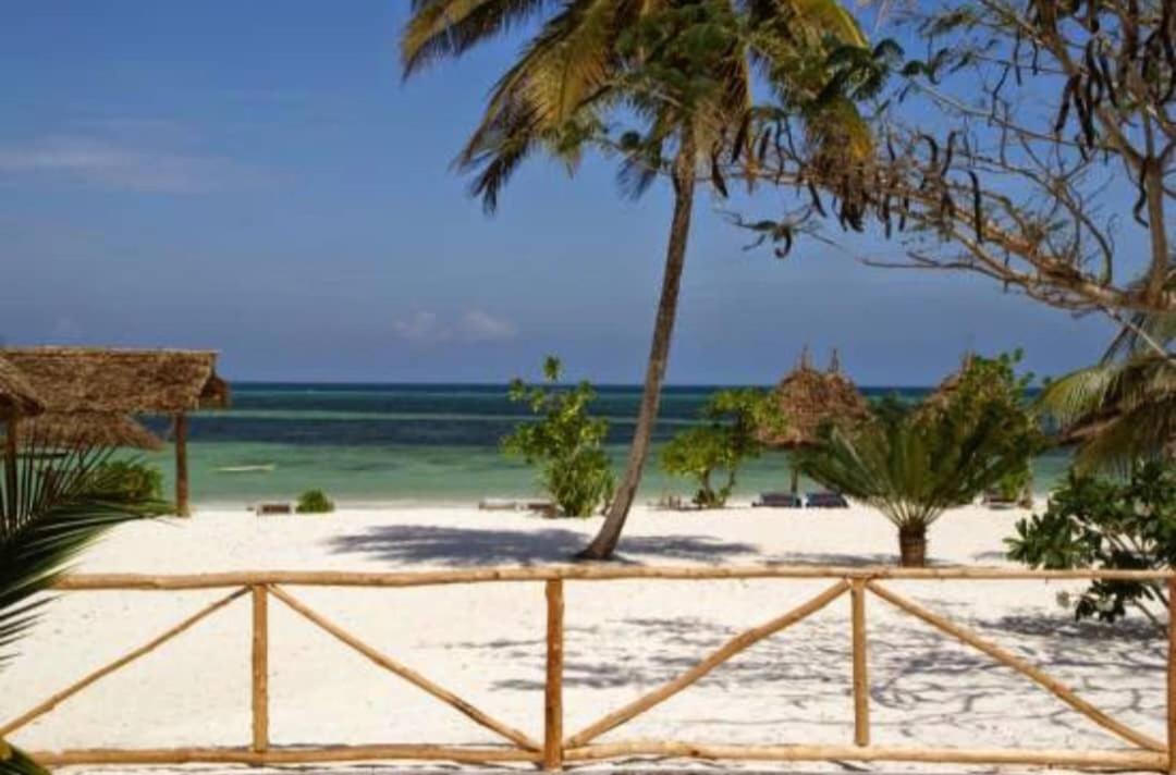 One Love Beach House Zanzibar view 2