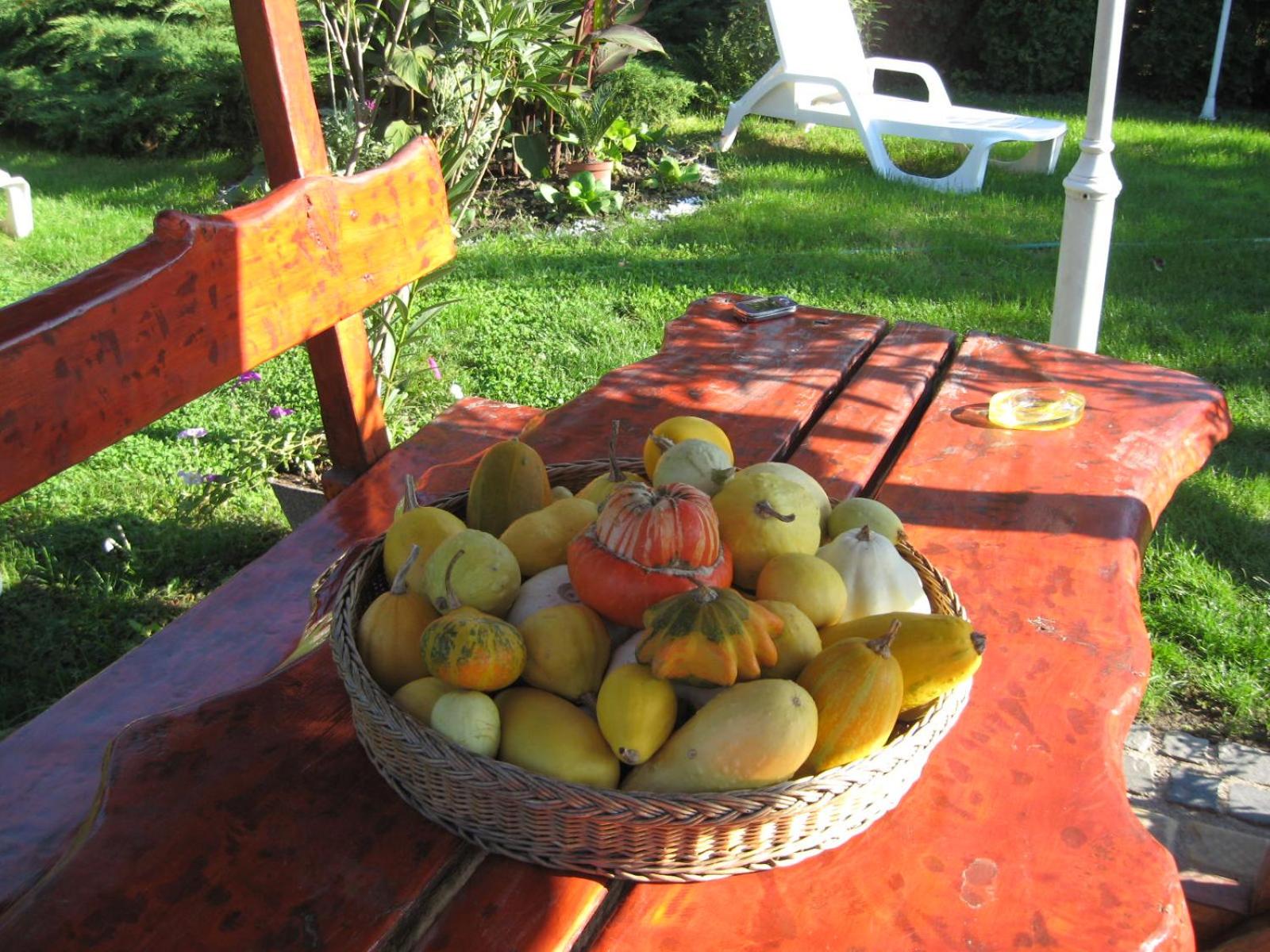 Photo 27