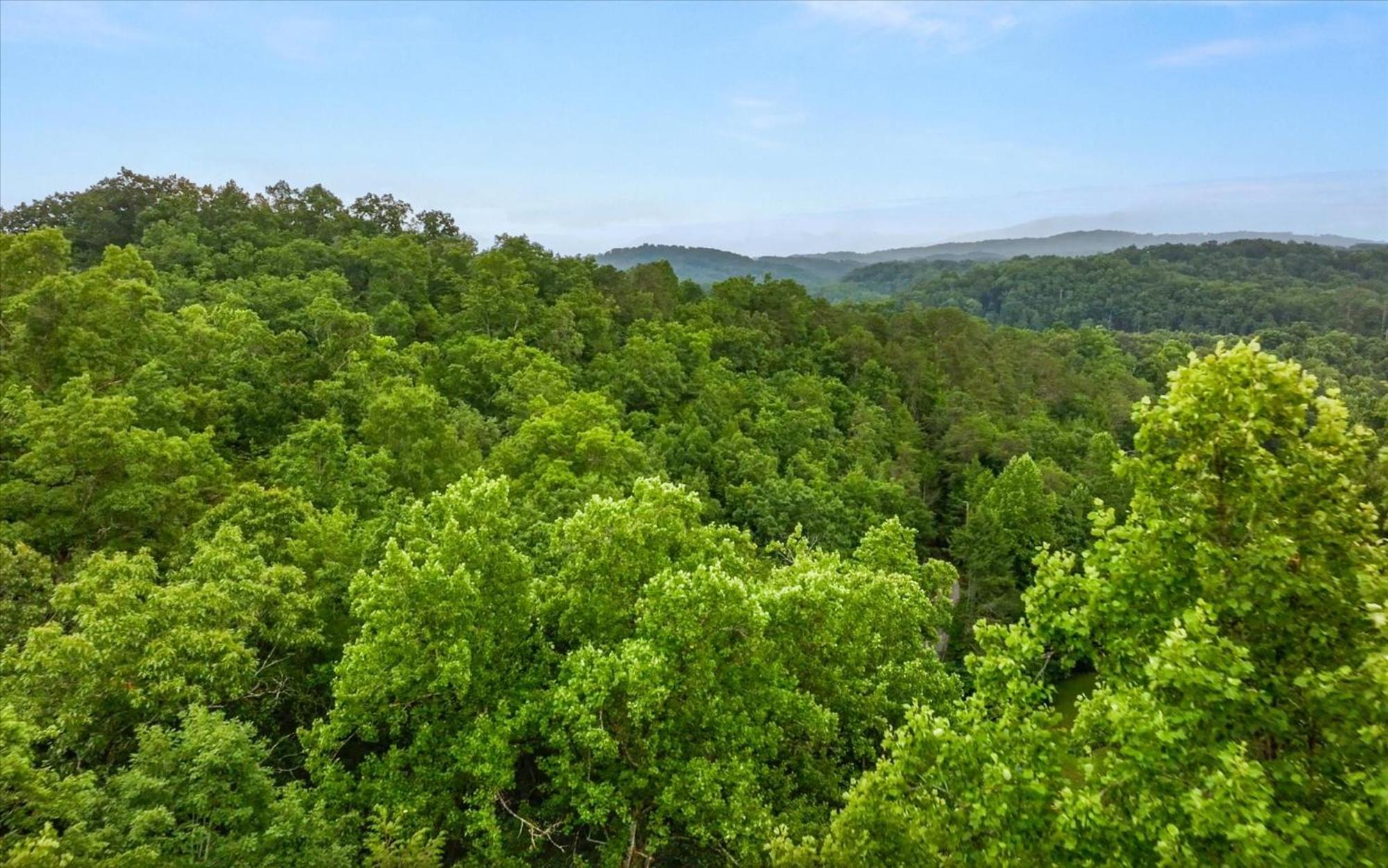 Huckleberry Inn By Colonial Properties view 3