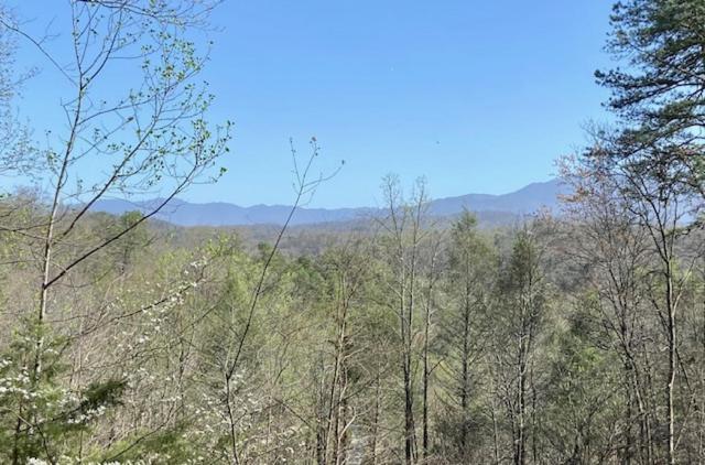 Huckleberry Inn By Colonial Properties view 5