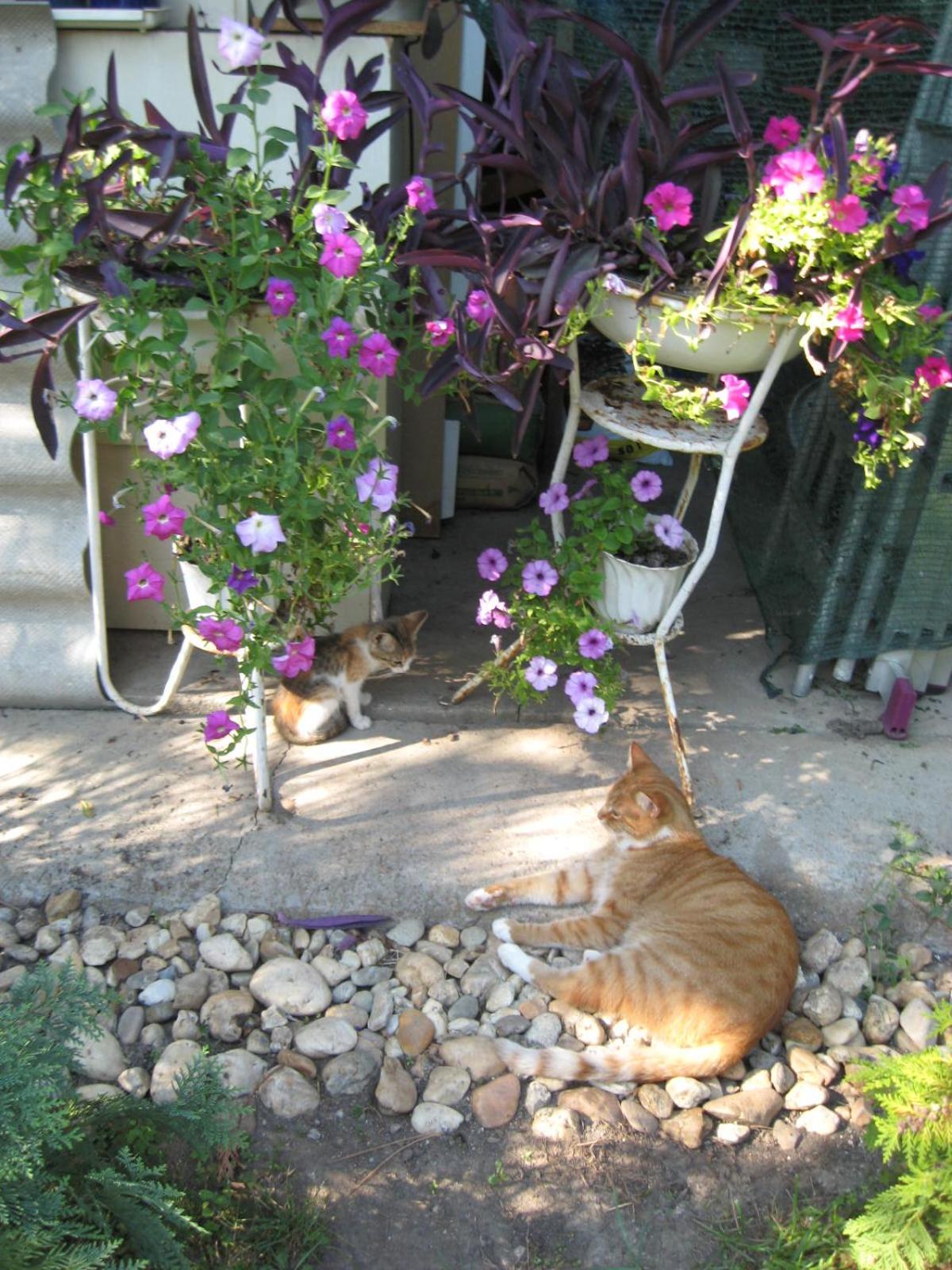 Photo 21