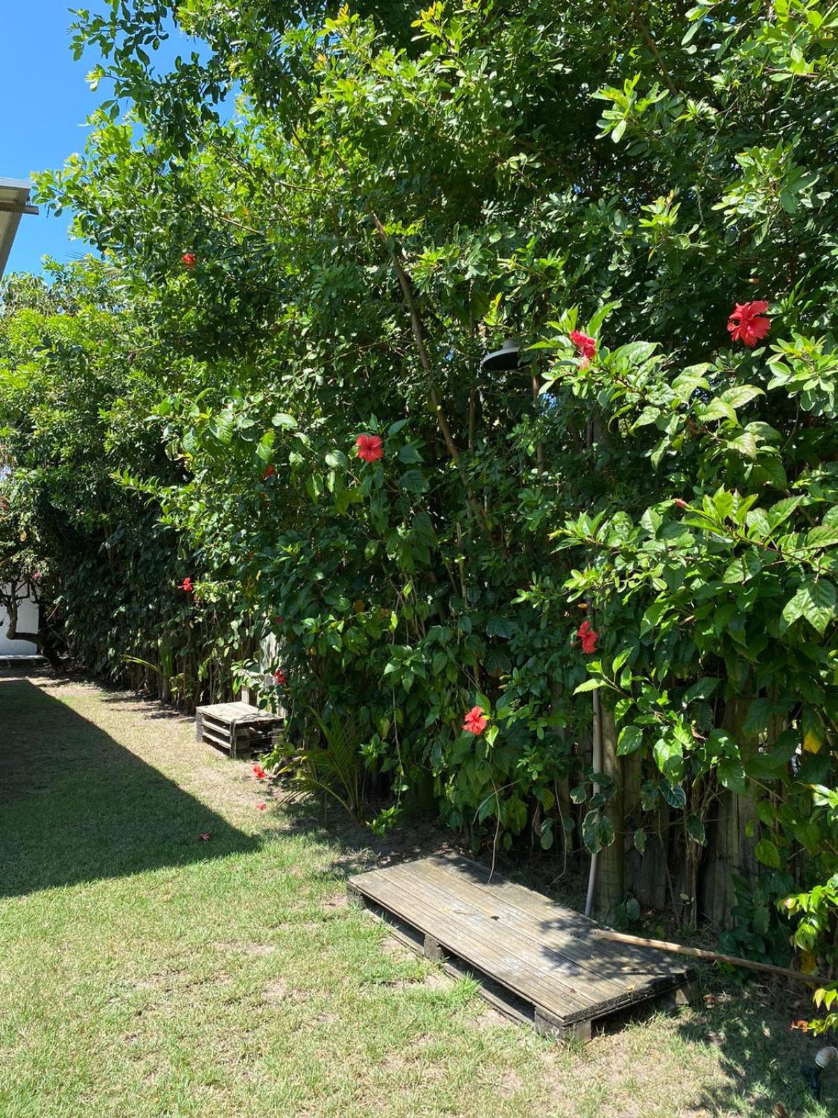 Villa Luar Caraíva - Pé na areia