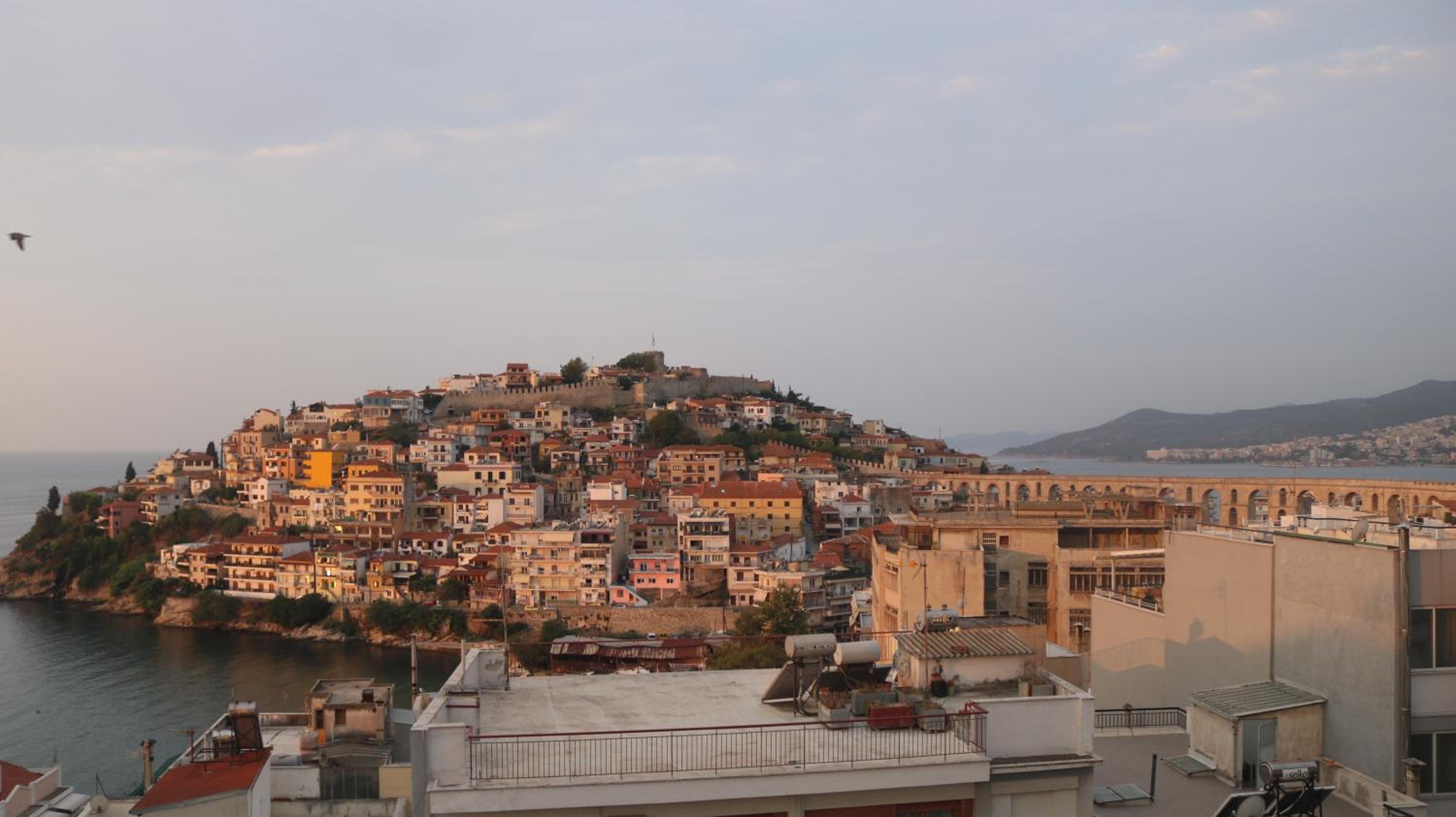 roof