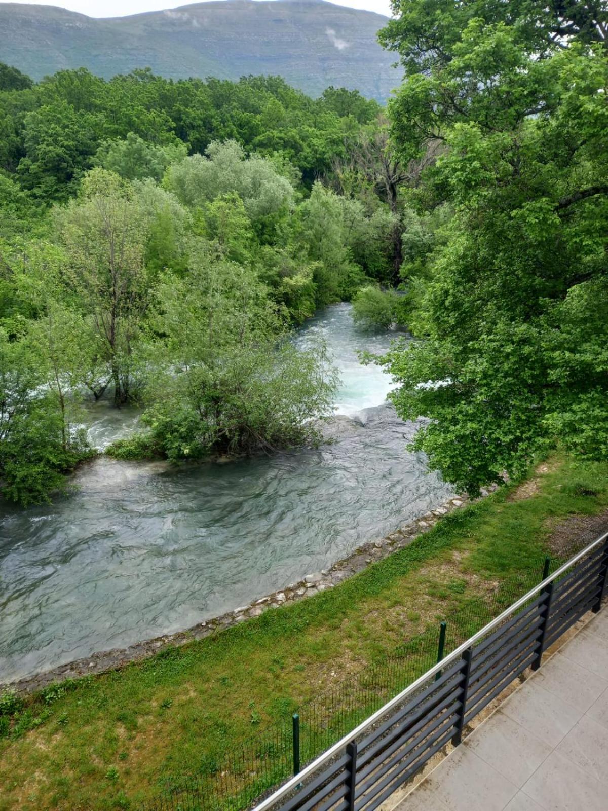 Photo 35