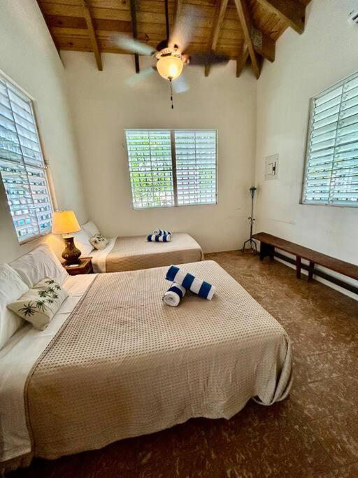 Casa M - Downtown Caribbean Home view 4