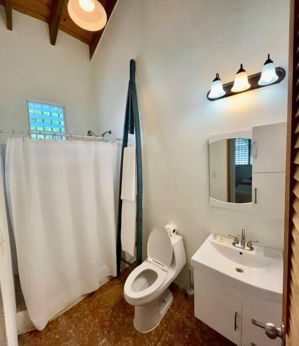 Casa M - Downtown Caribbean Home view 5
