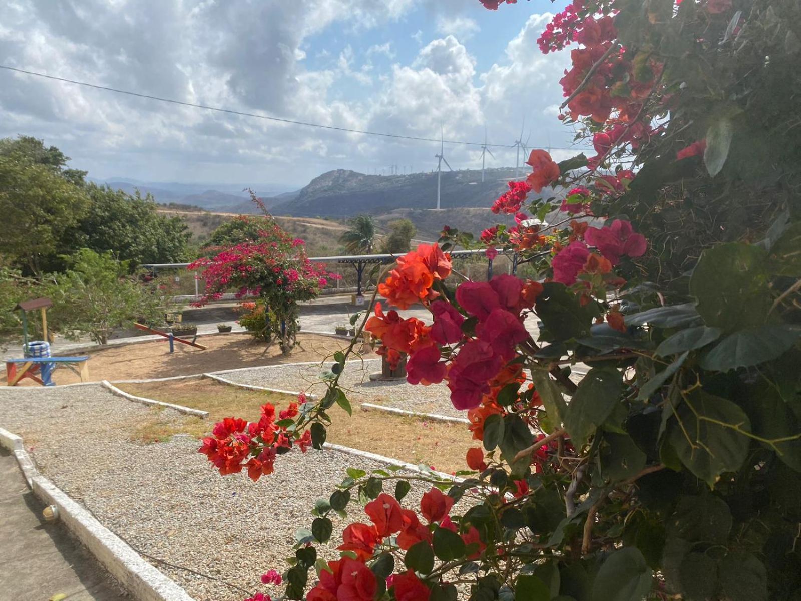 Encanto dos Pássaros