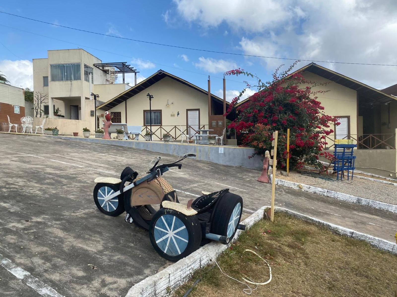Encanto dos Pássaros