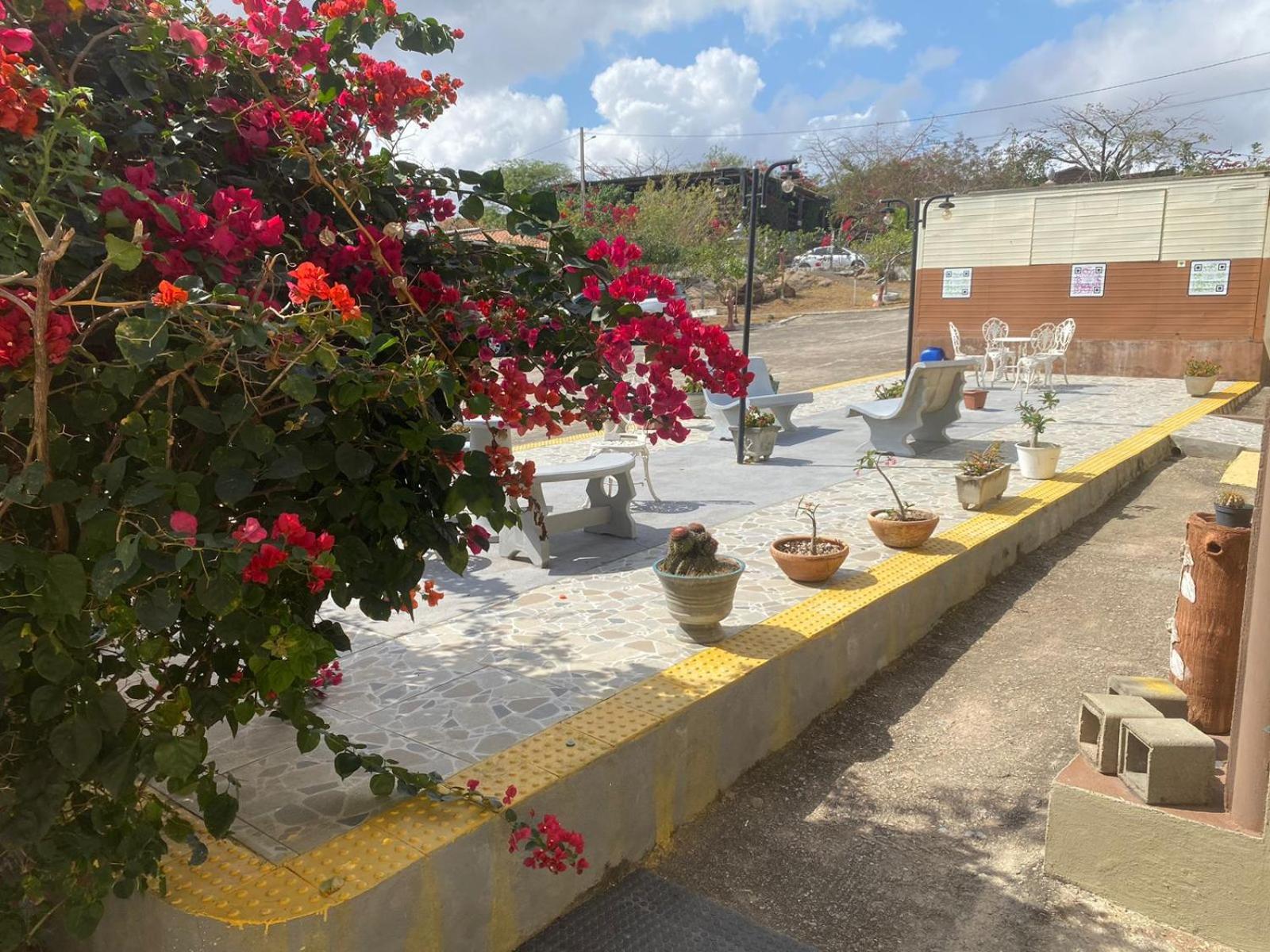 Encanto dos Pássaros