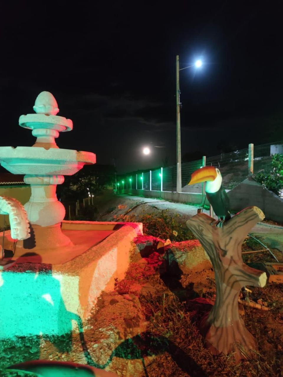 Encanto dos Pássaros