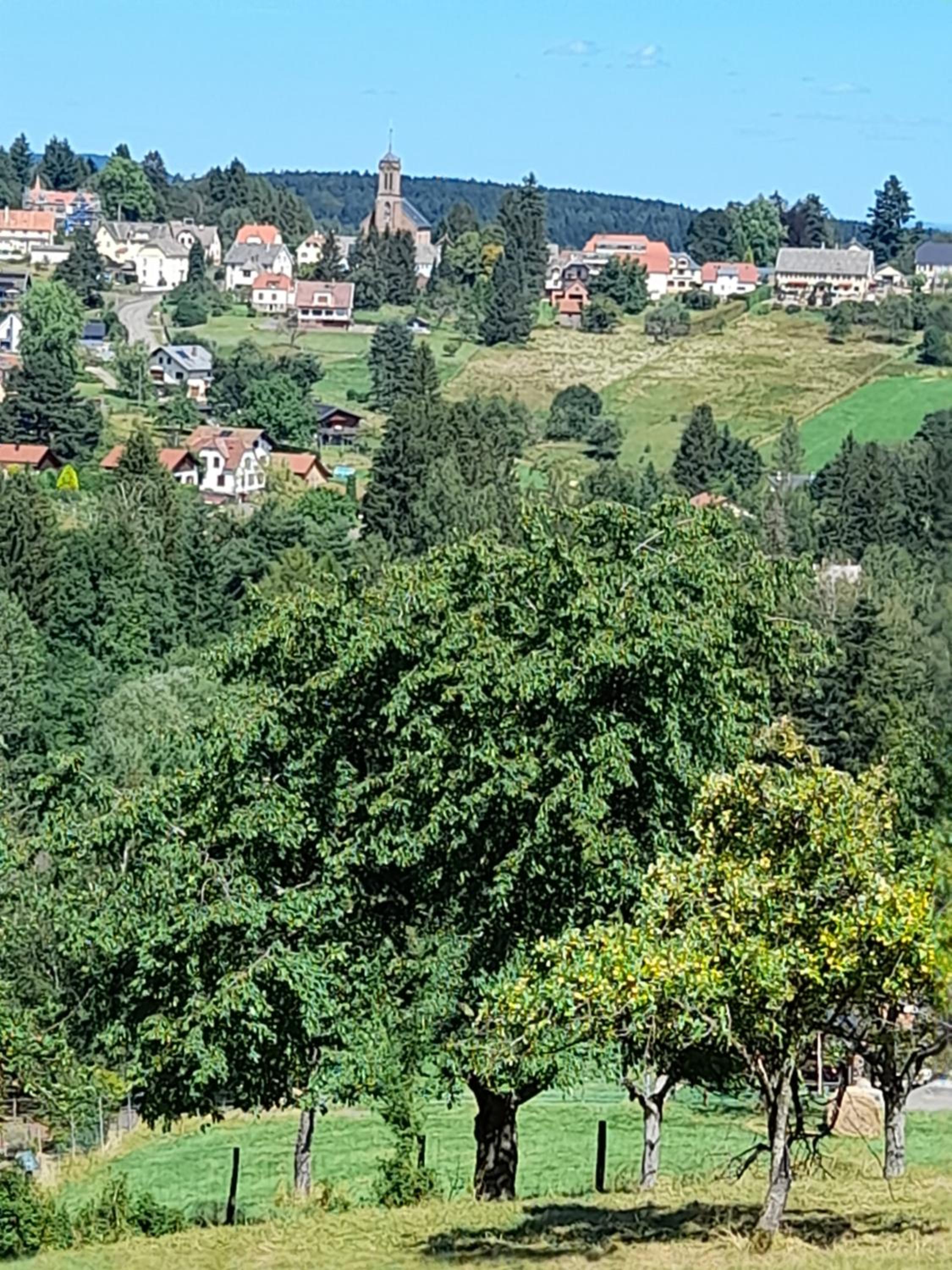clos Saint François Spa- gite avec sauna Alsace
