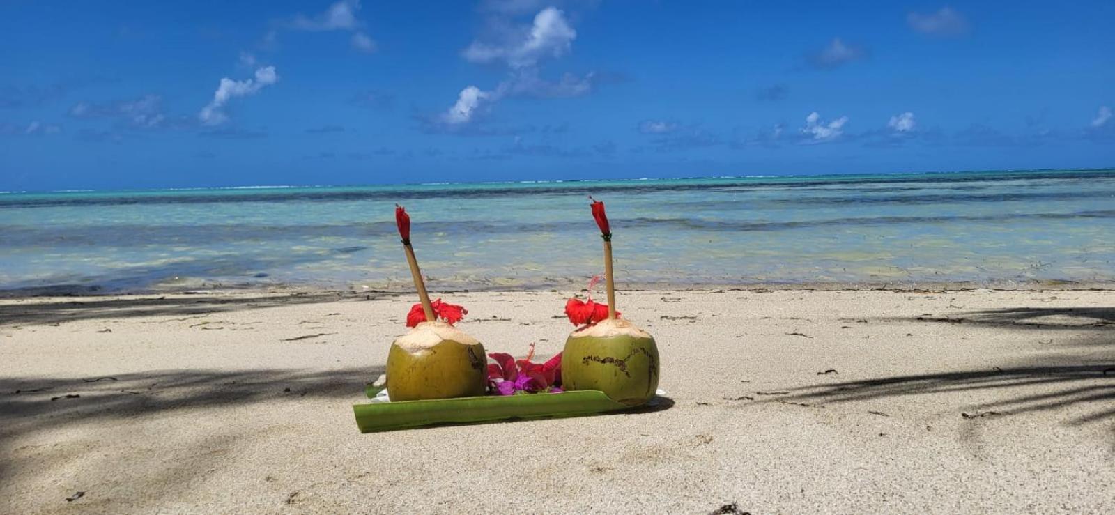 La VILLA BORAHA 300m2 PROPRIÉTÉ ENTIERE en bord de plage PISCINE PRIVEE Cuisine équipéeTV Wifi view 5