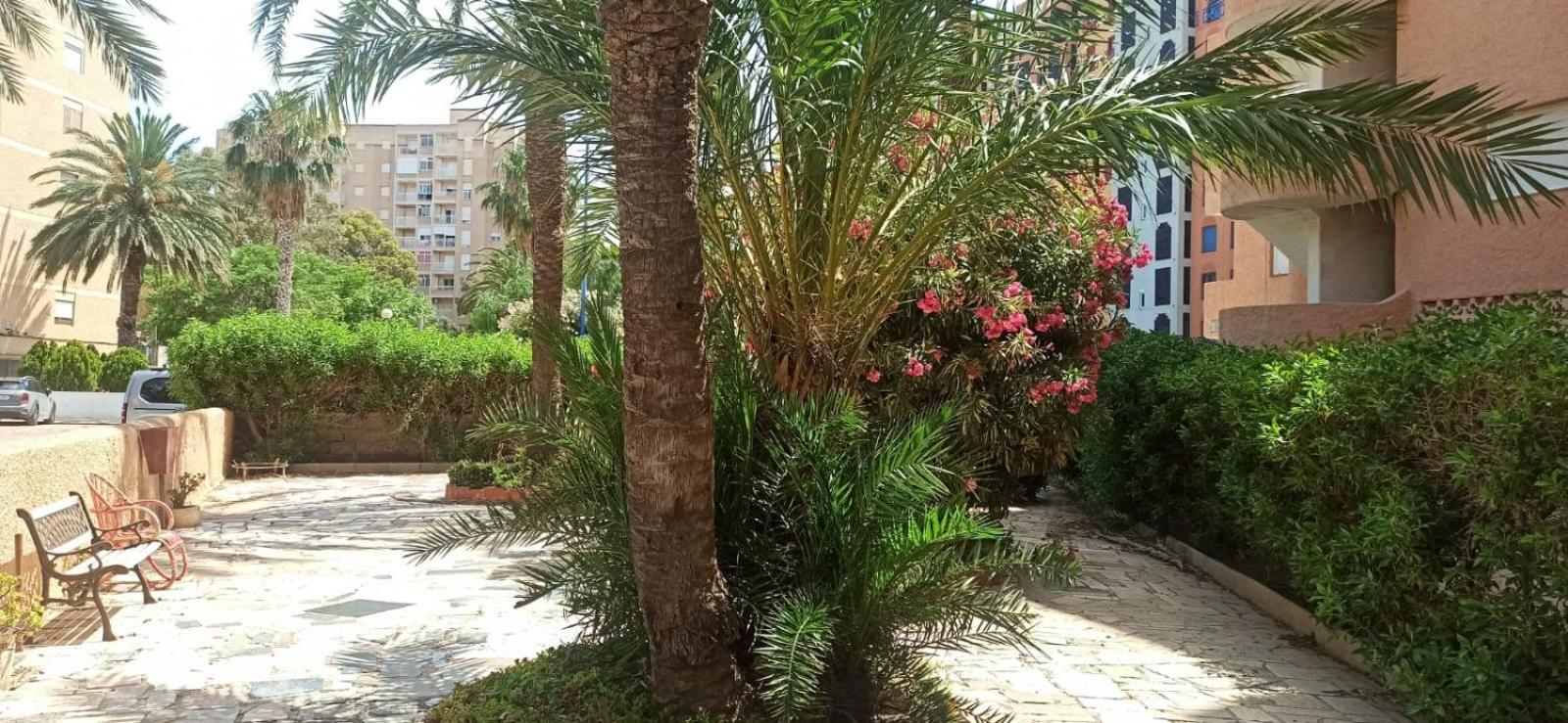 Apartamento Brisa y Mar en Playa Honda view 3