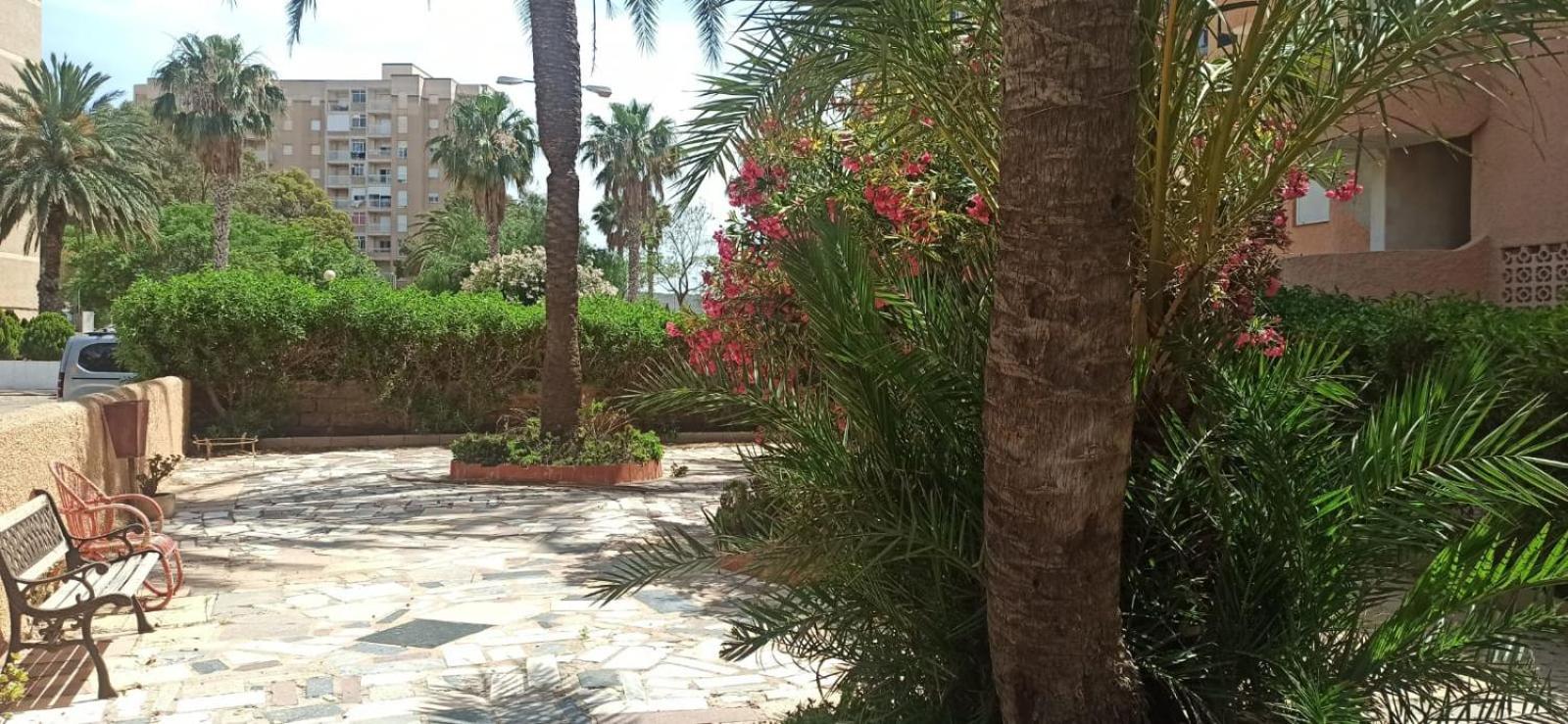 Apartamento Brisa y Mar en Playa Honda view 4