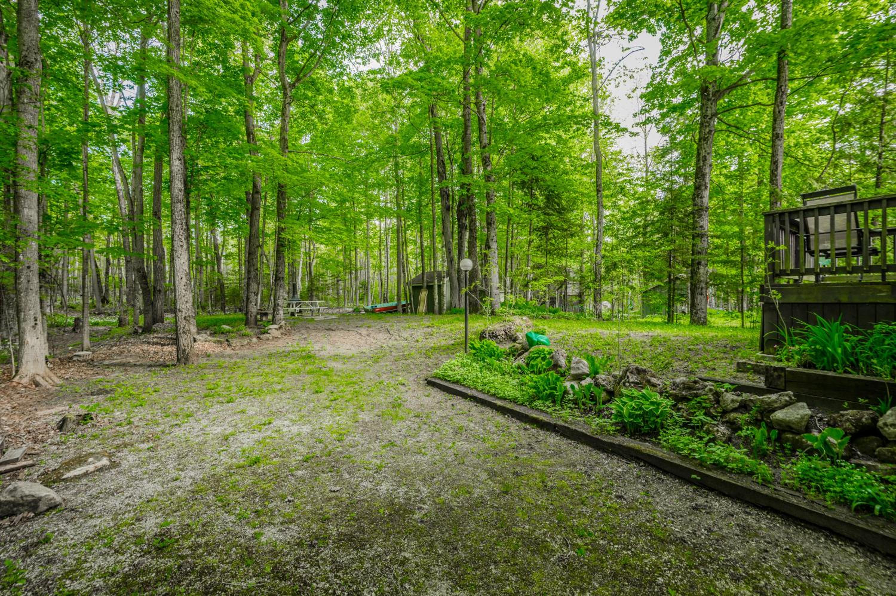 Lakeside Cottage Bliss Nature At Your Door!