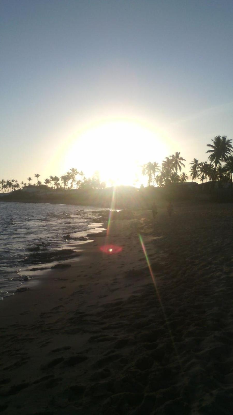Photo 49