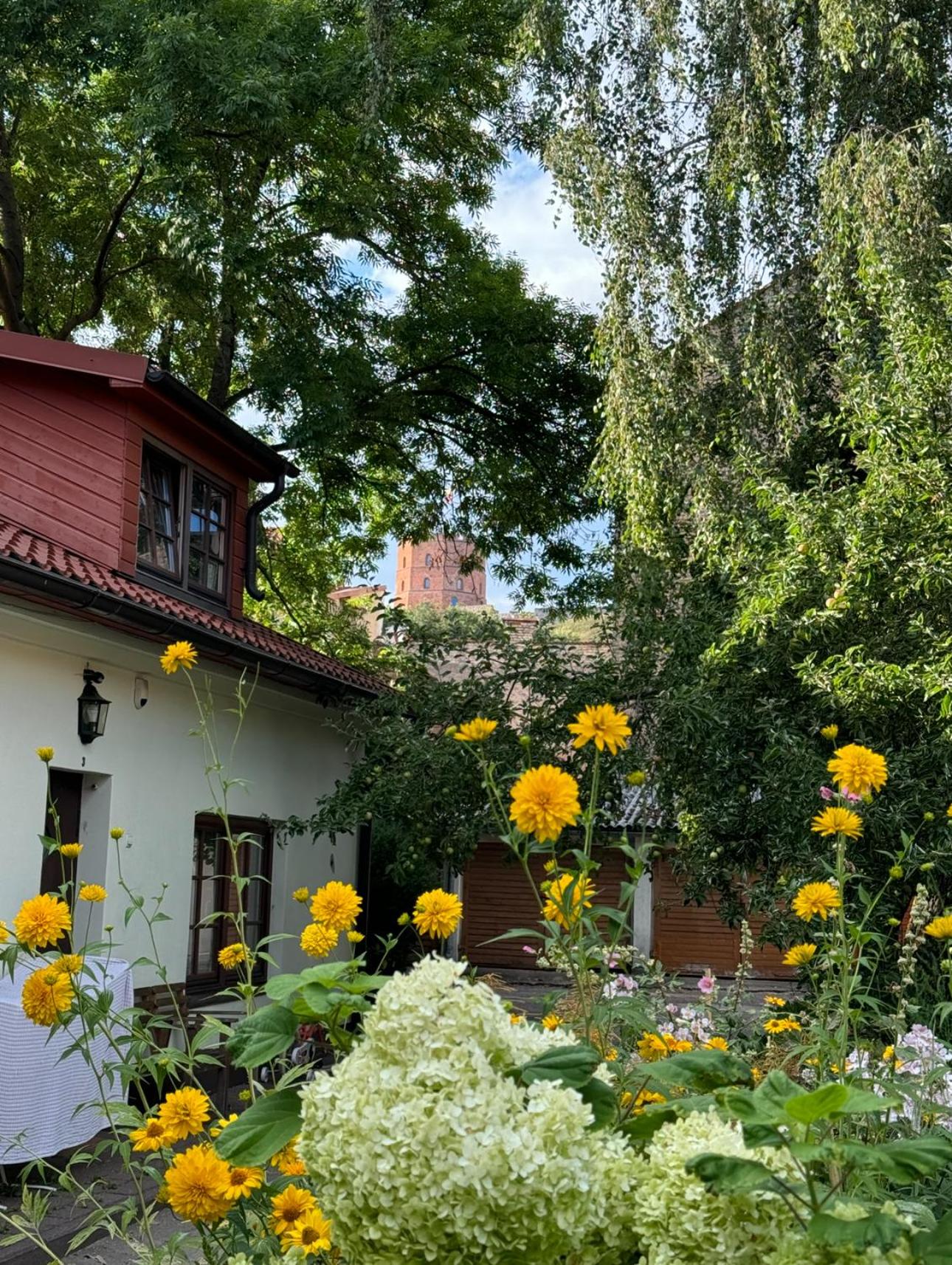 Heart of Vilnius with little spa