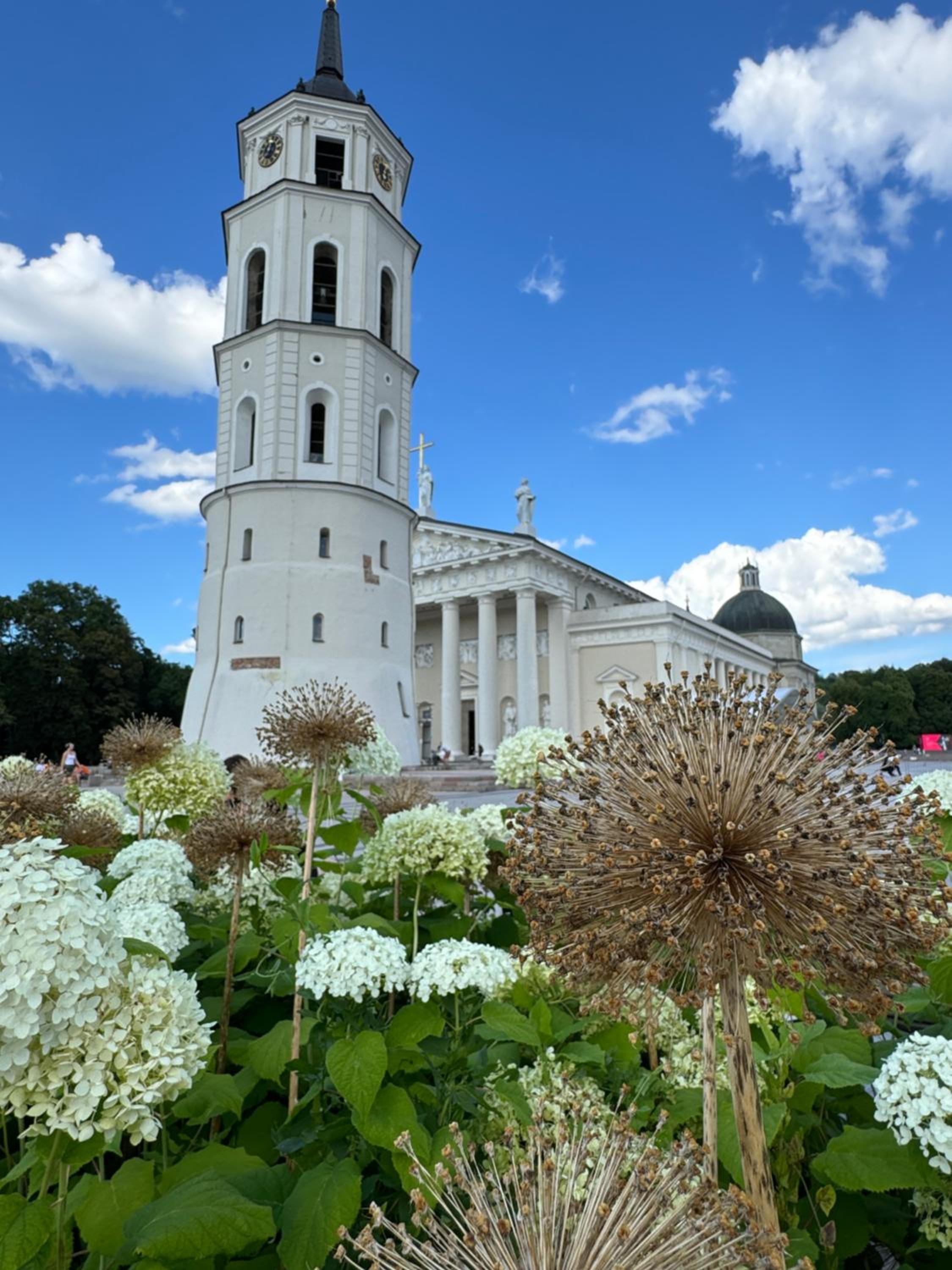 Heart of Vilnius with little spa