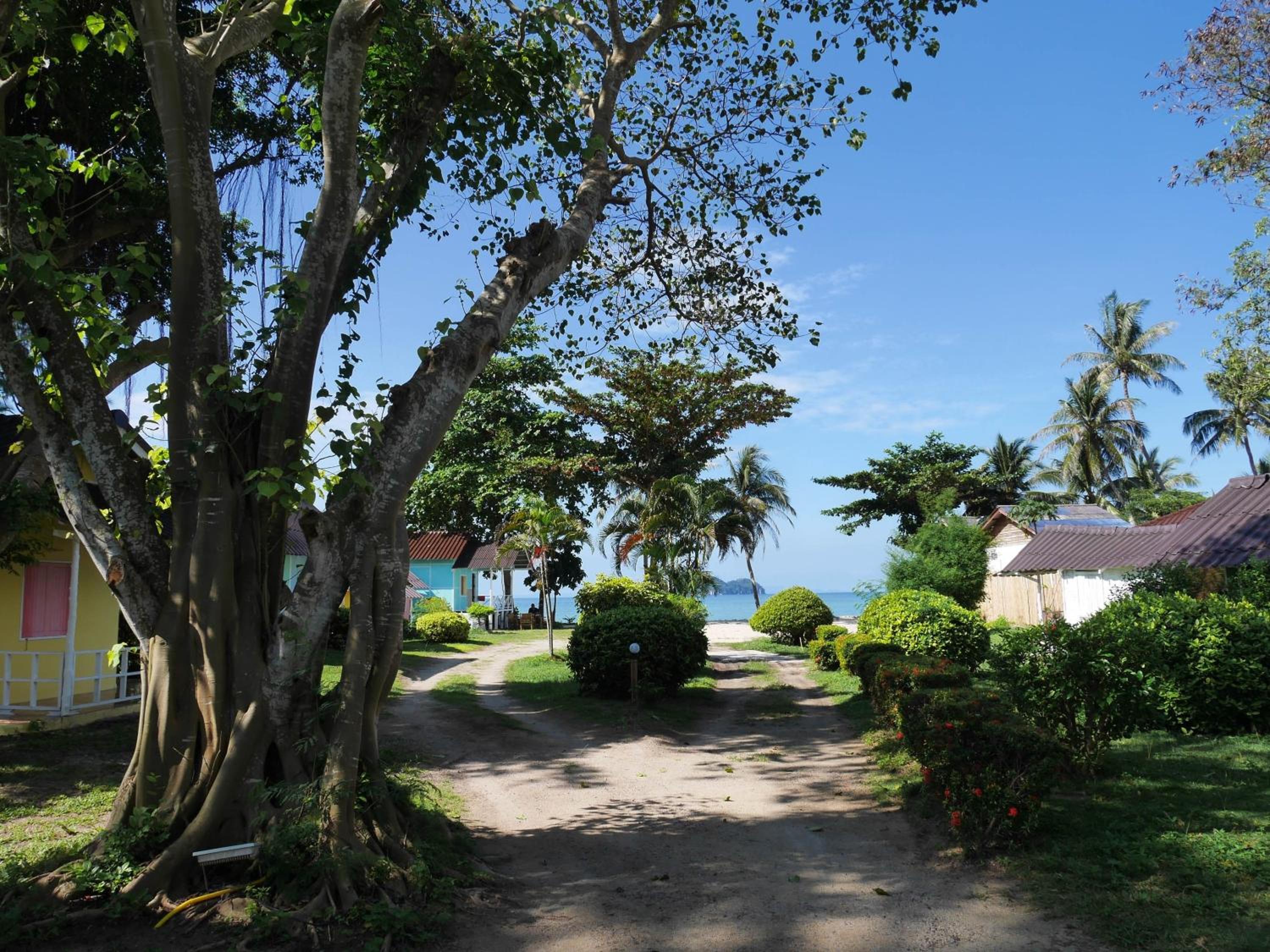 Photo 43