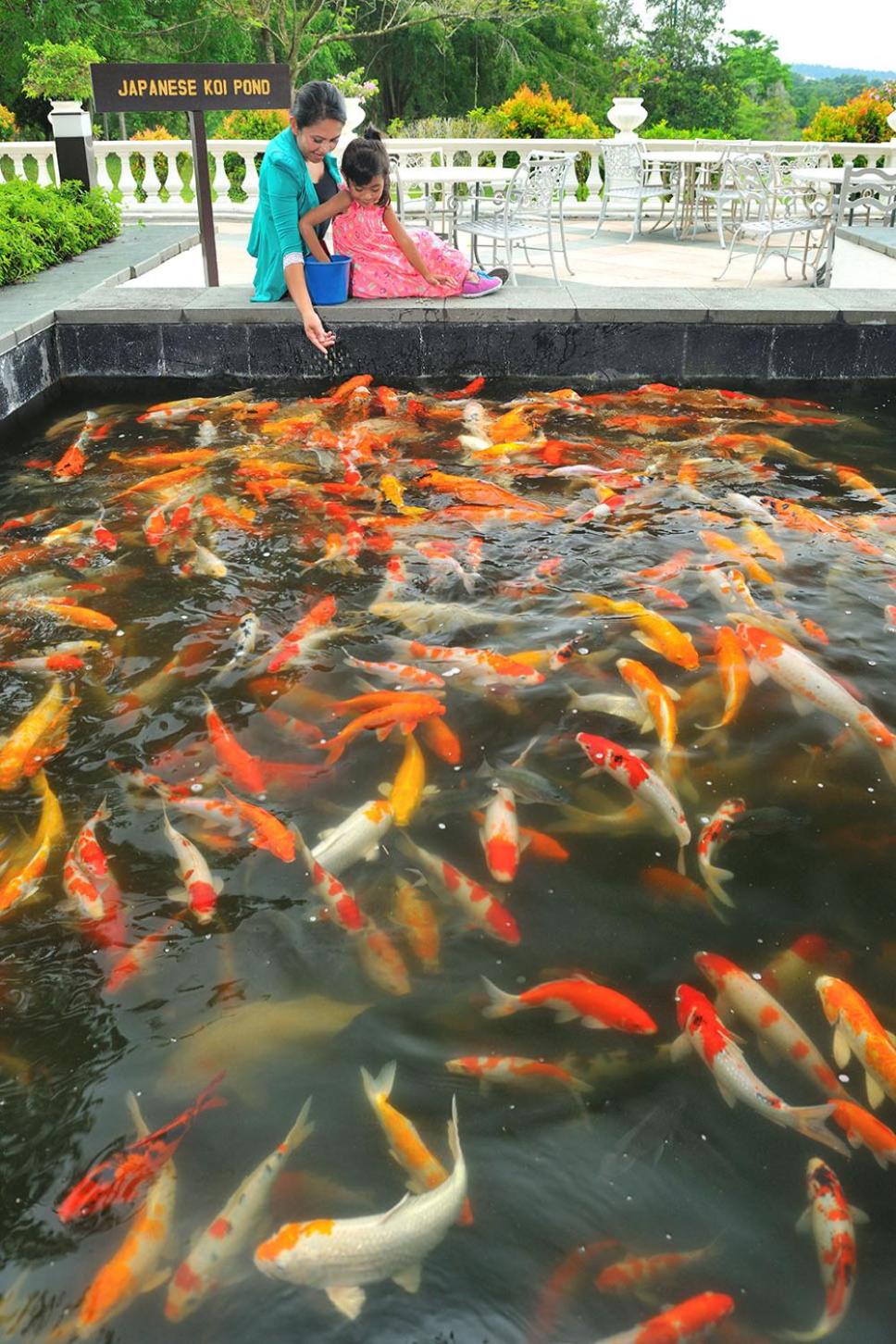 Pulai Springs Resort Official