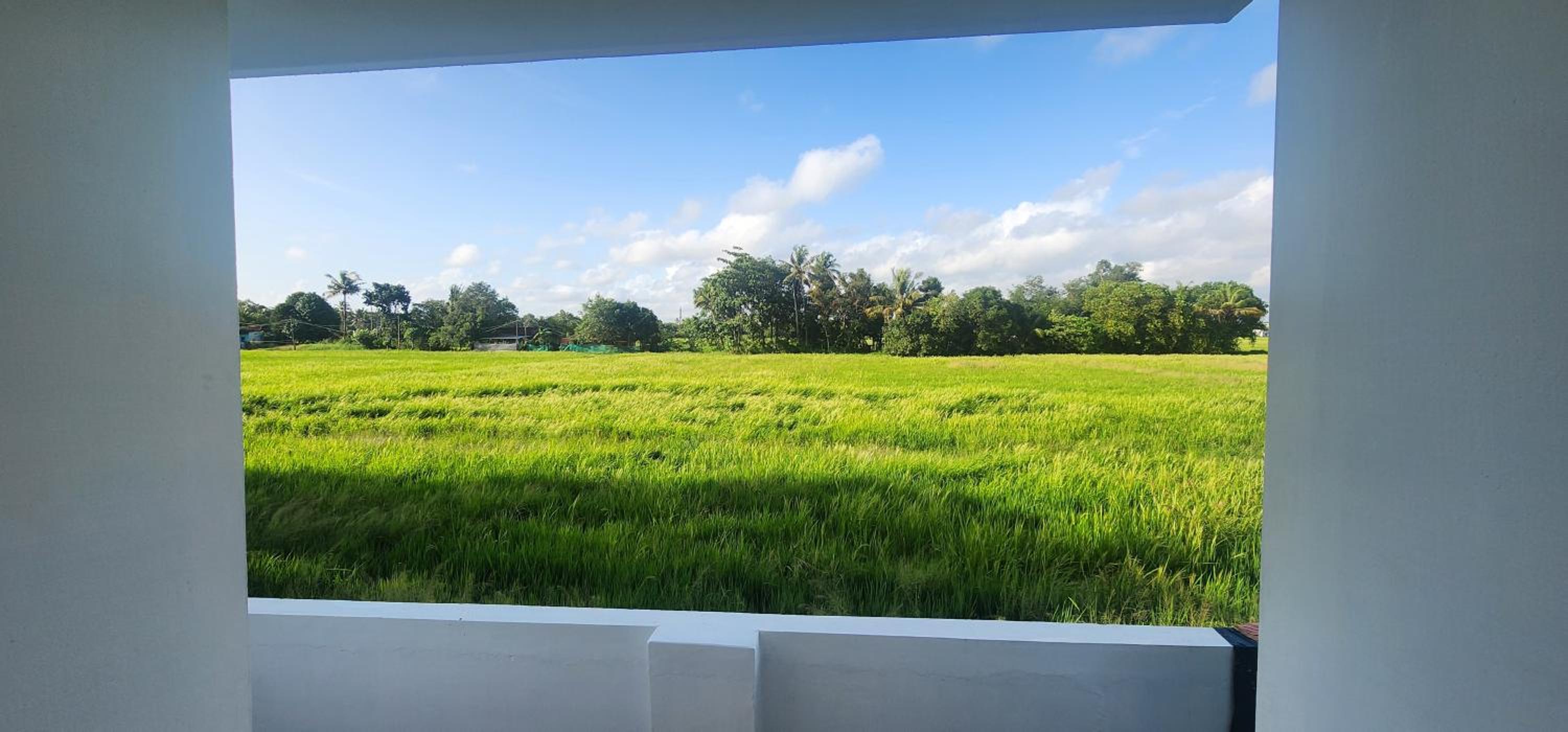 Tranquil by the fields view 3