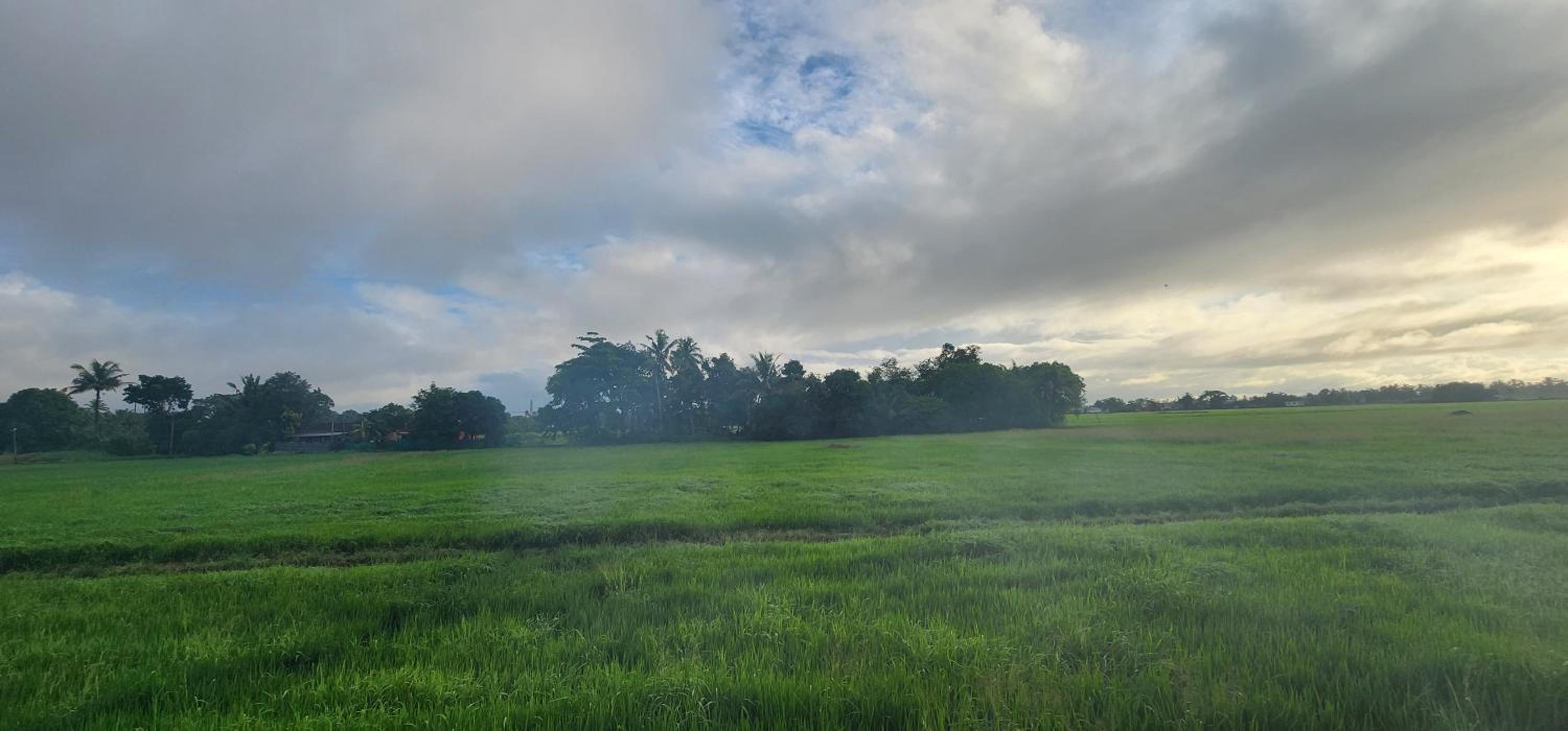 Tranquil by the fields view 5