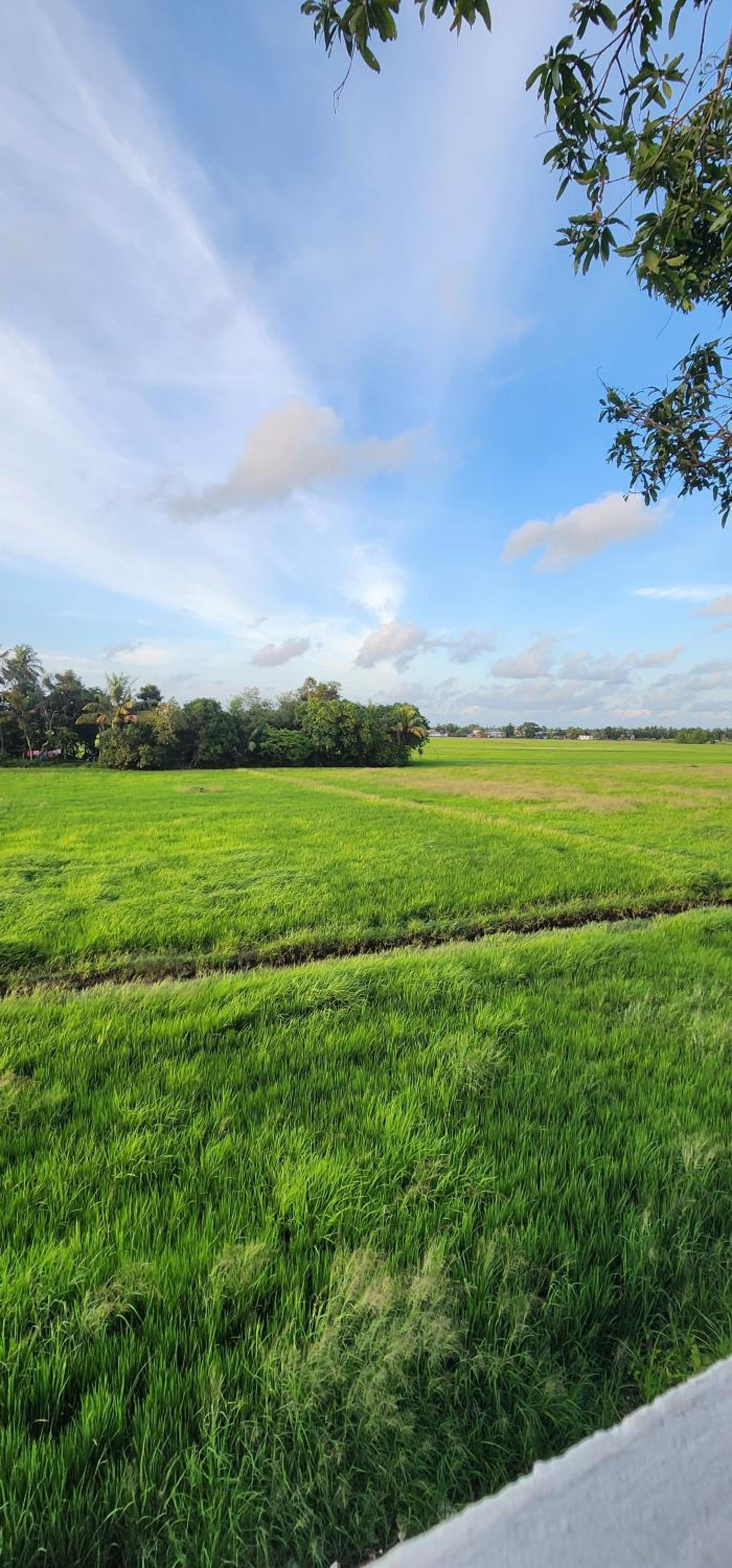 Tranquil by the fields view 4