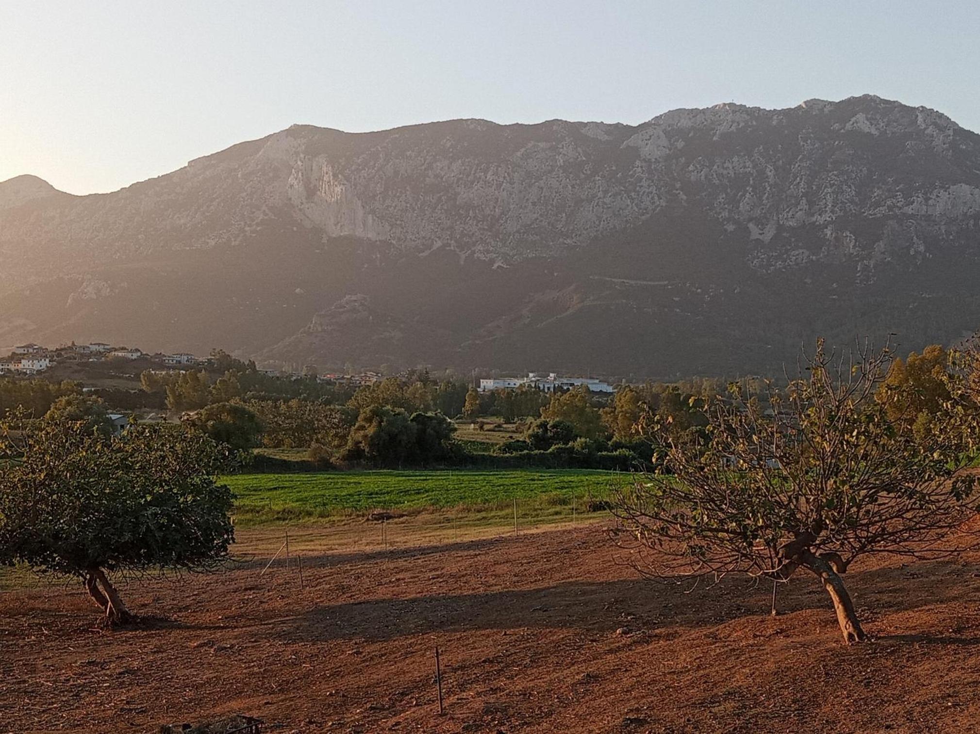 Agriturismo Neunele
