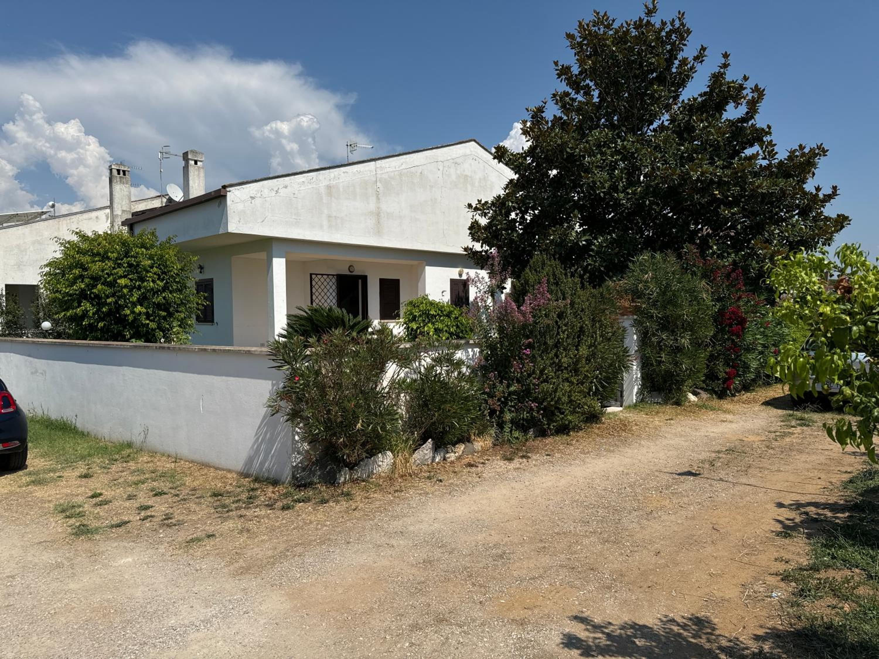Photo 41