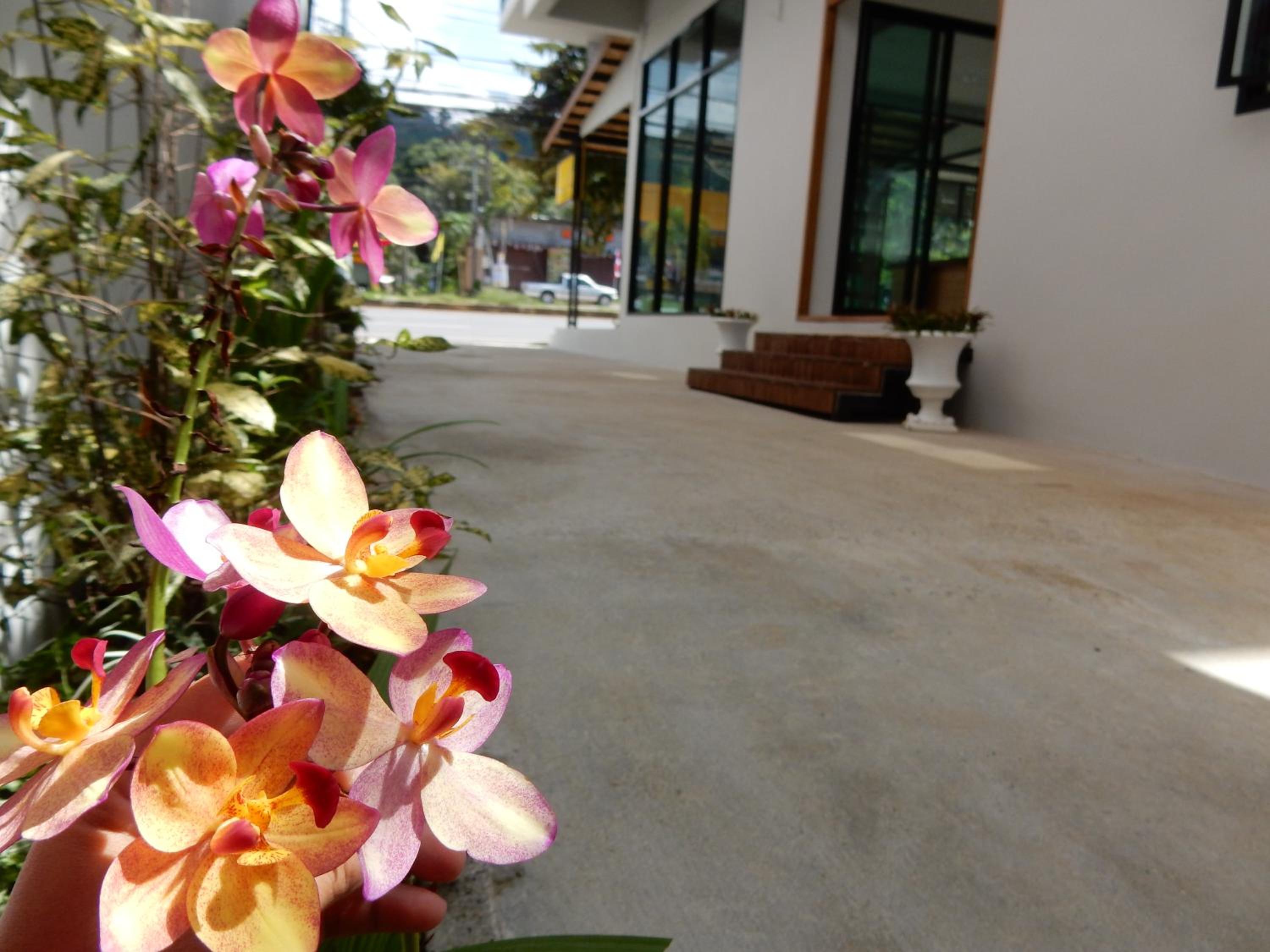 Wandee Bed & Breakfast