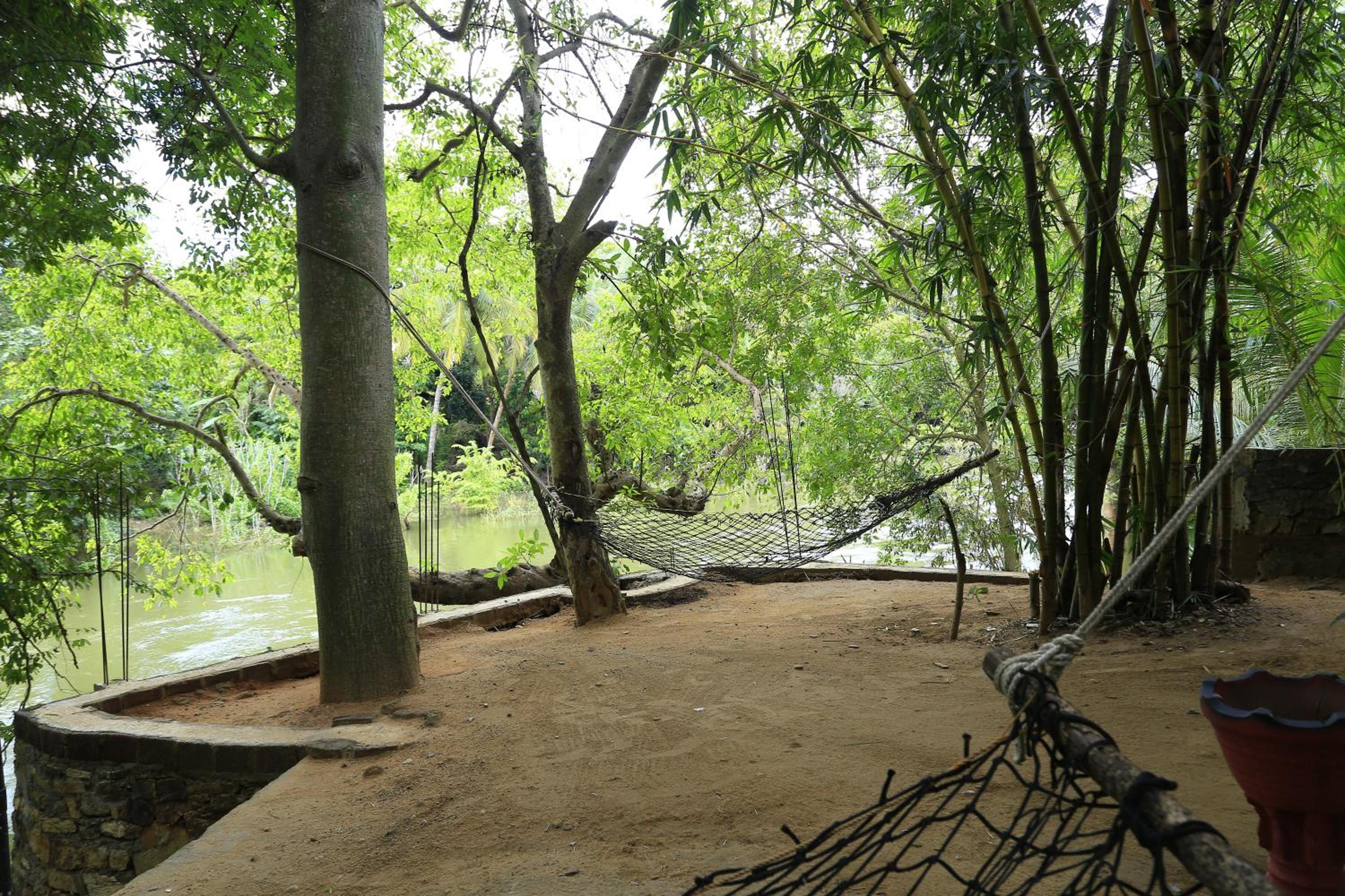 Yala River Face Inn