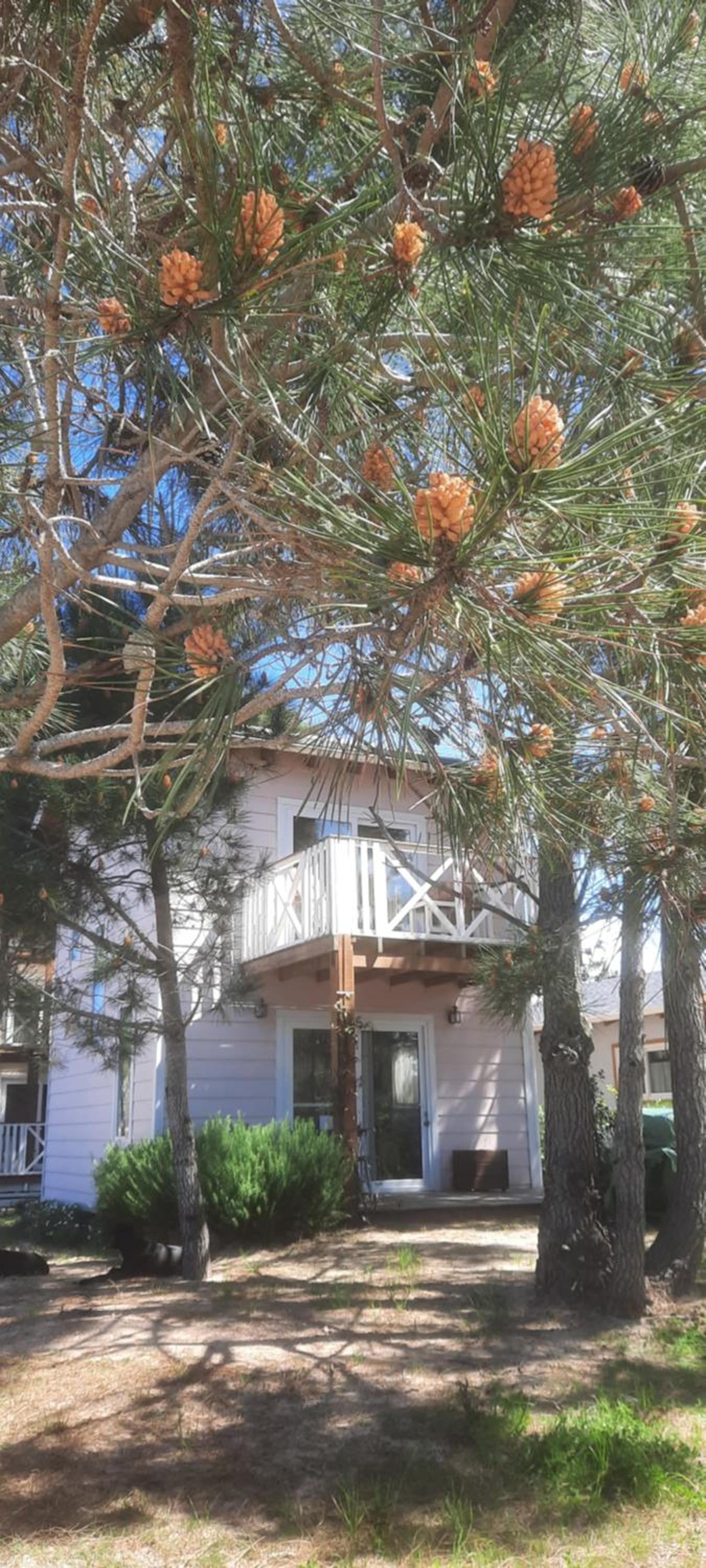 Villa Alba