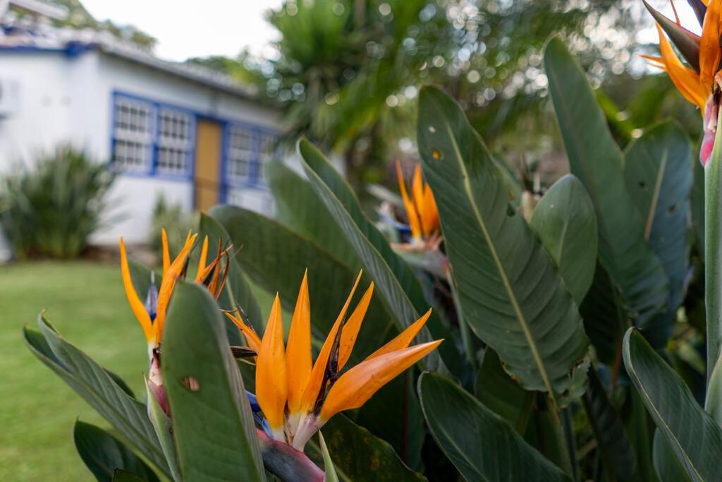 Casa Beco do Rosário